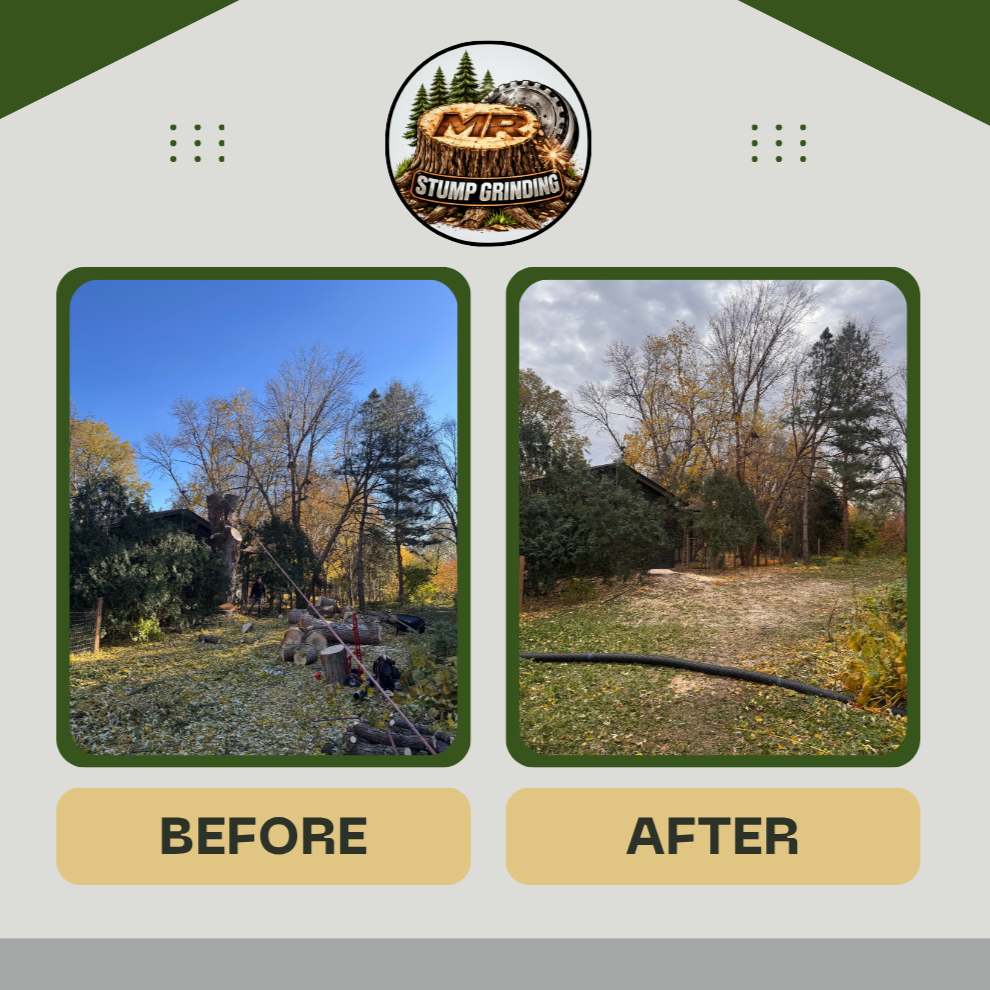 Dark+Green+Modern+House+Before+After+Facebook+Post+%282%29.png