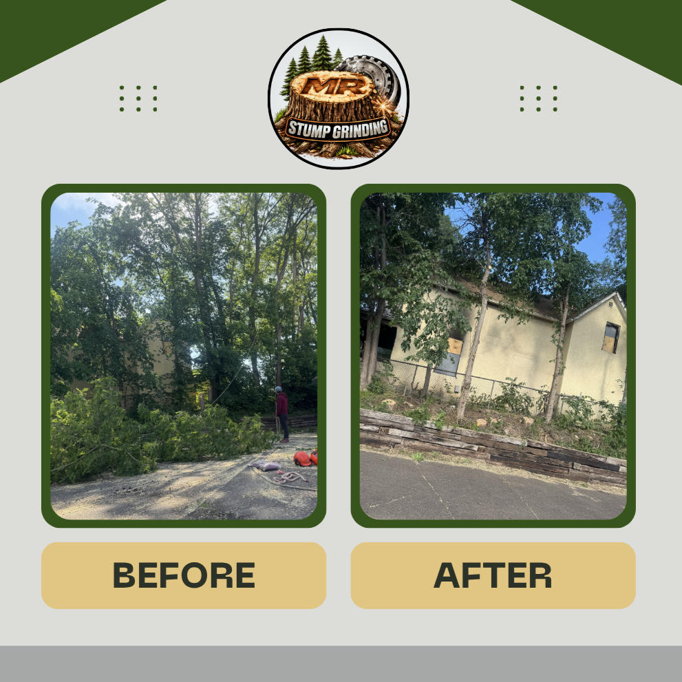 Before+%26+After+.png