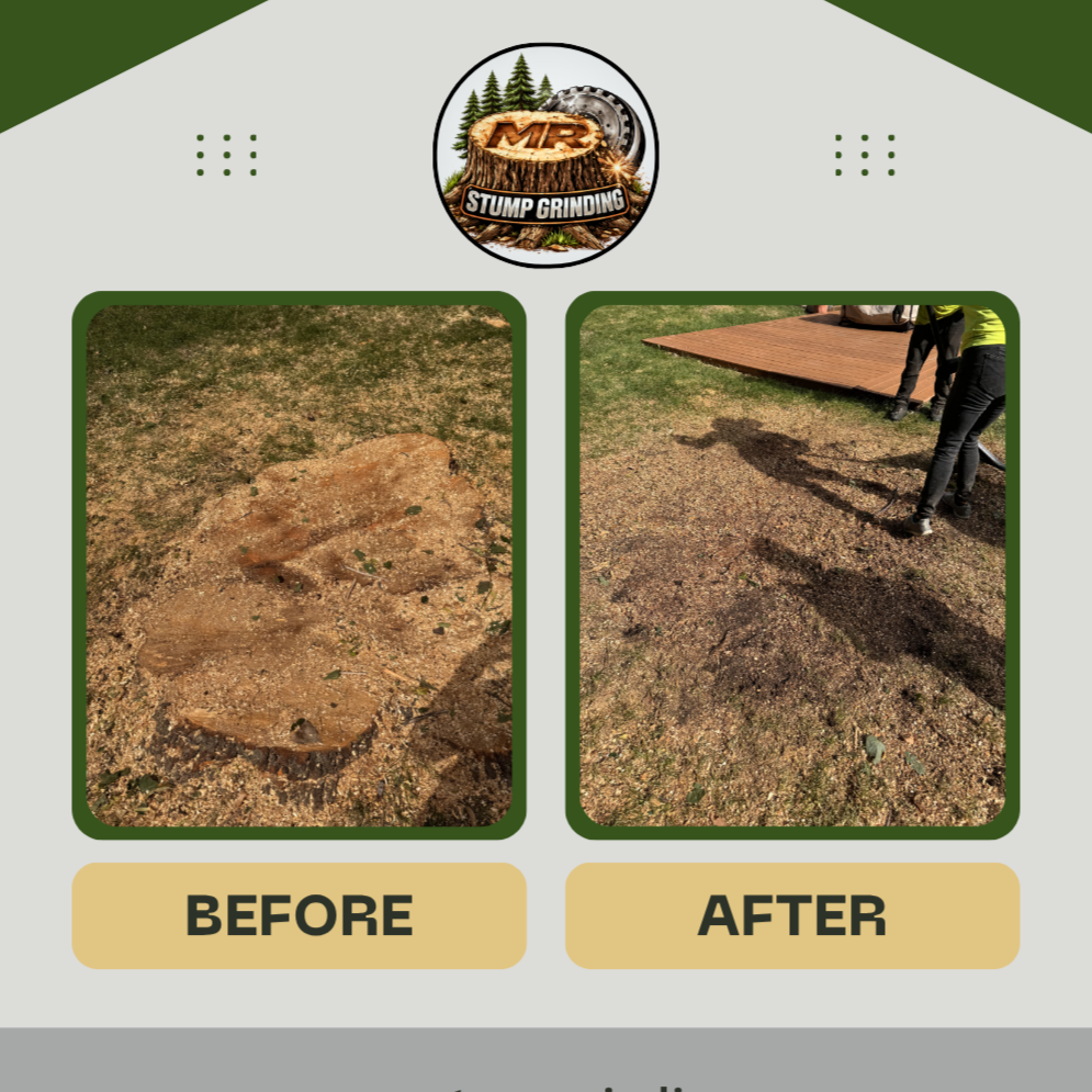Before+%26+After++%281%29.png