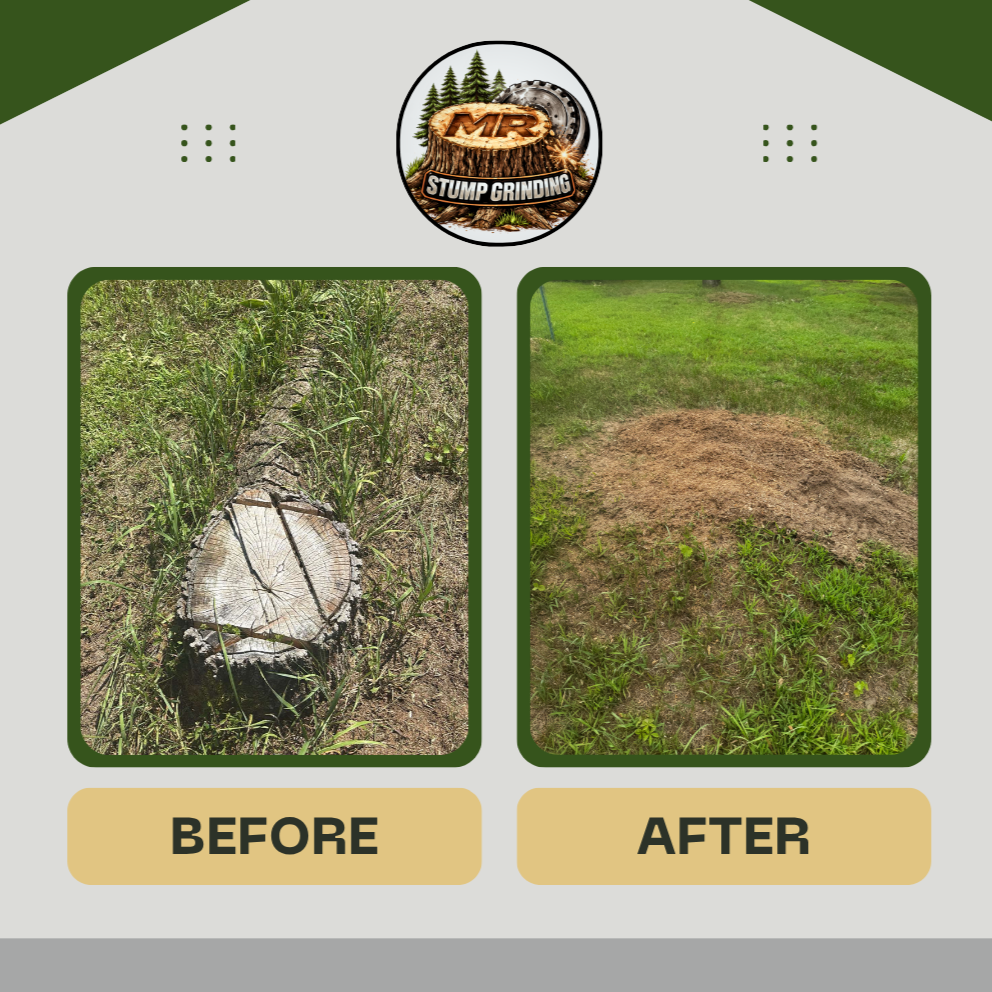 Before+%26+After++%282%29.png