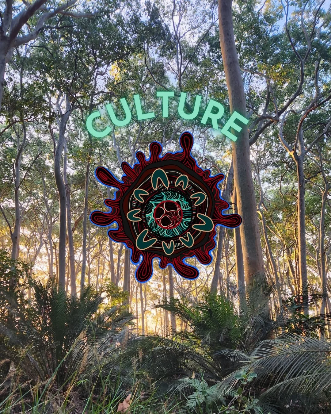 We will build each other with culture. 

Culture is more than just a belief, it is a way of life. When I think of culture I think of strength, identity, unity, healing, humility, love and so much more. Here on walbunja and brindja-yuin country there 