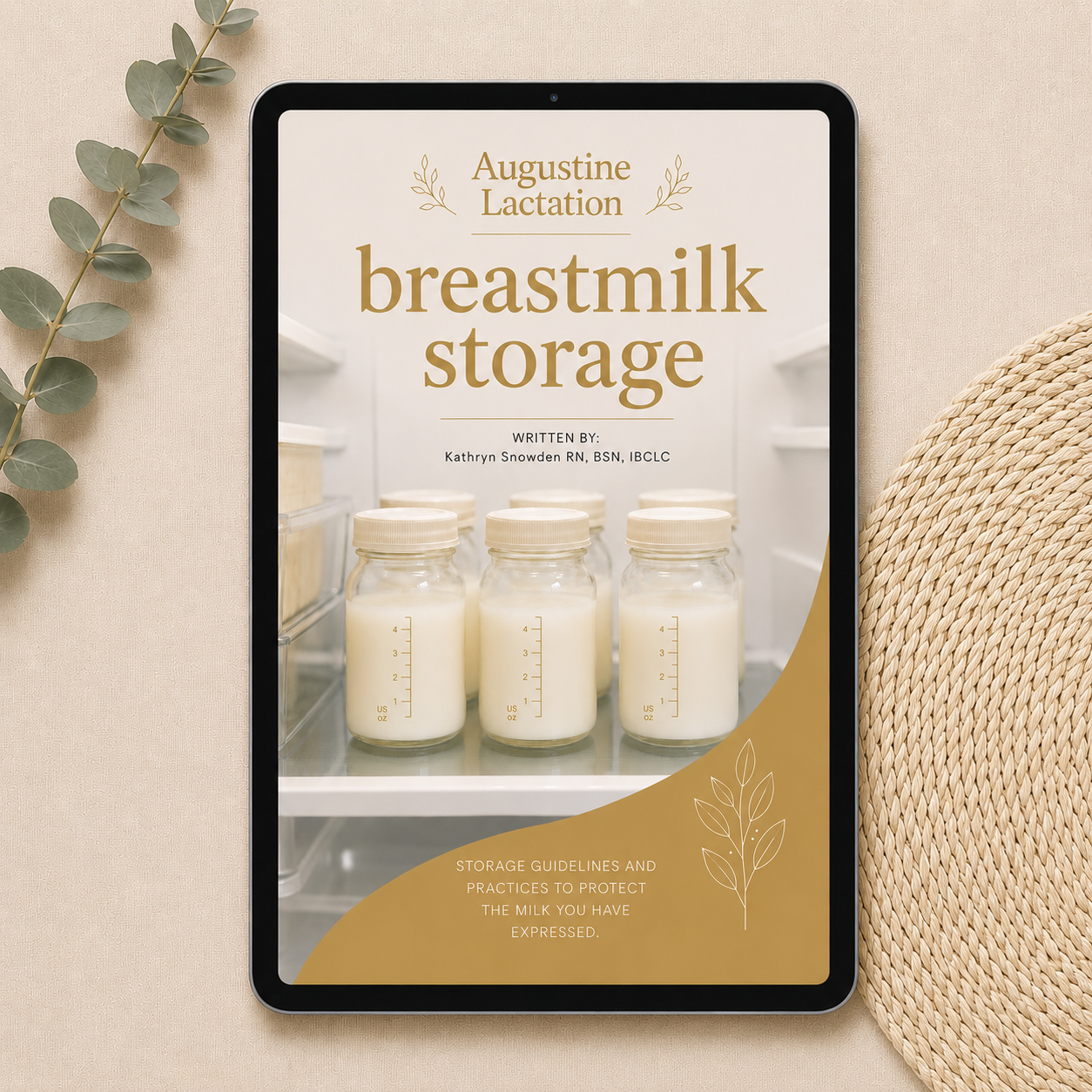Storage Thumbnail.png