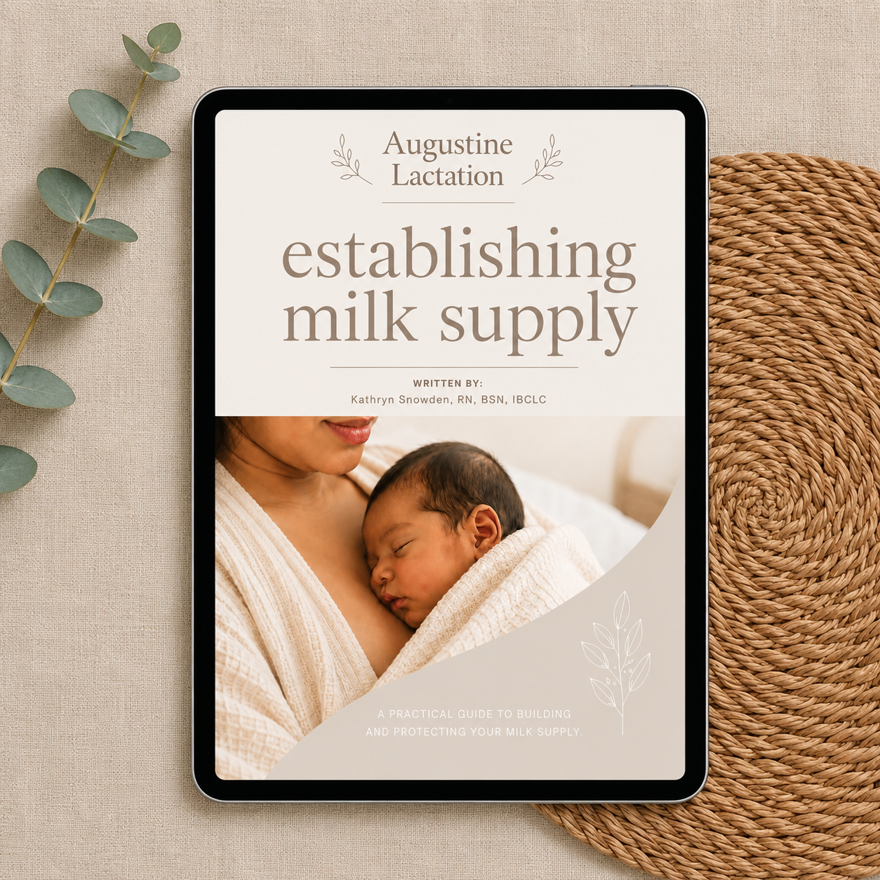 Establishing Milk Supply Thumbnail.png