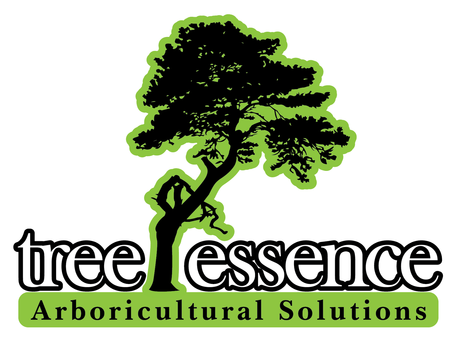 Tree Essence