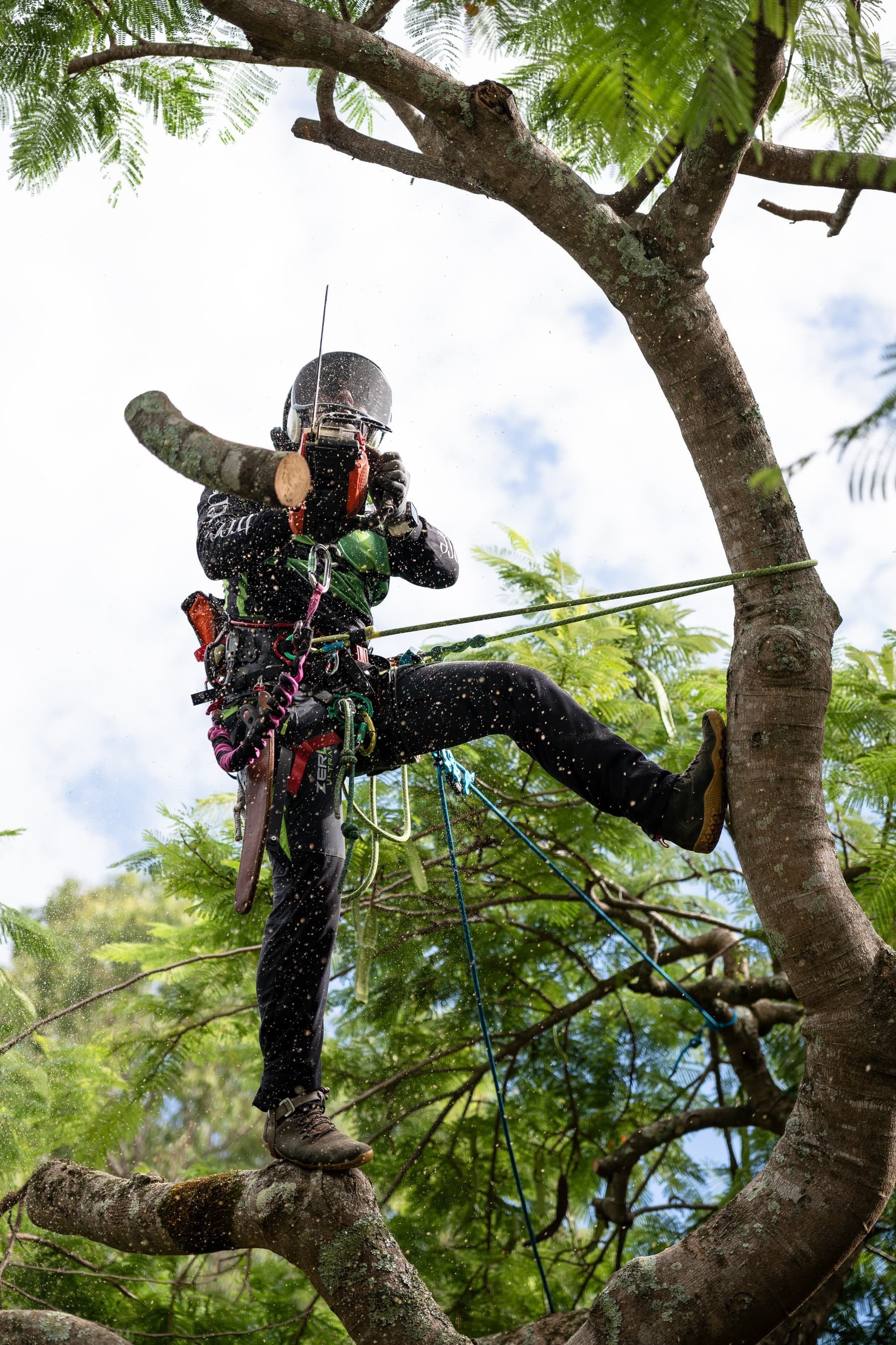 An arborist wearing a helmet with a visor and gloves and climbing equipment is perched on a tree branch, cutting the branch with a saw. The scene is outdoors with green foliage and a partly cloudy sky visible in the background.