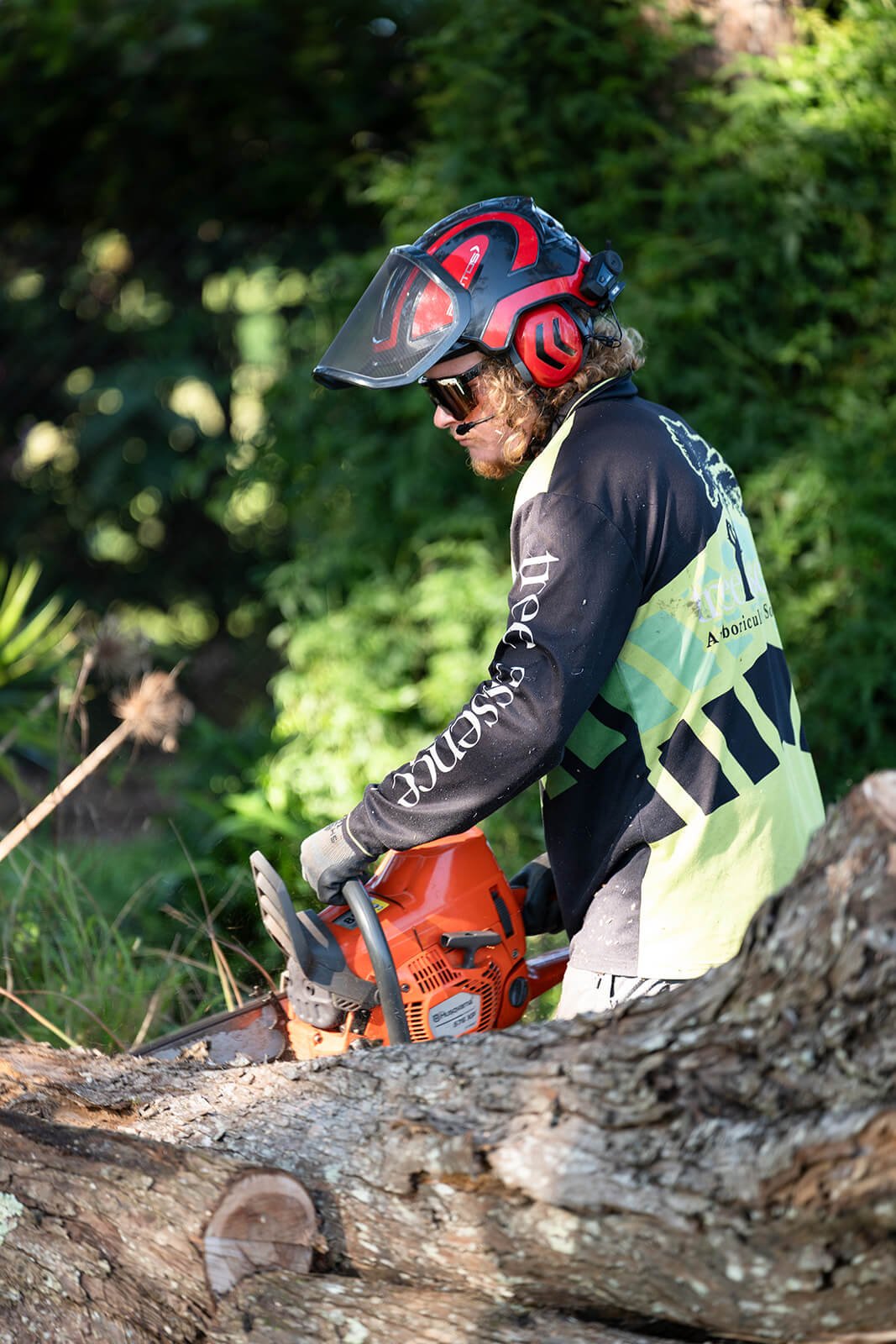 Arborist in protective gear using a chainsaw to cut a fallen tree outdoors with greenery background.