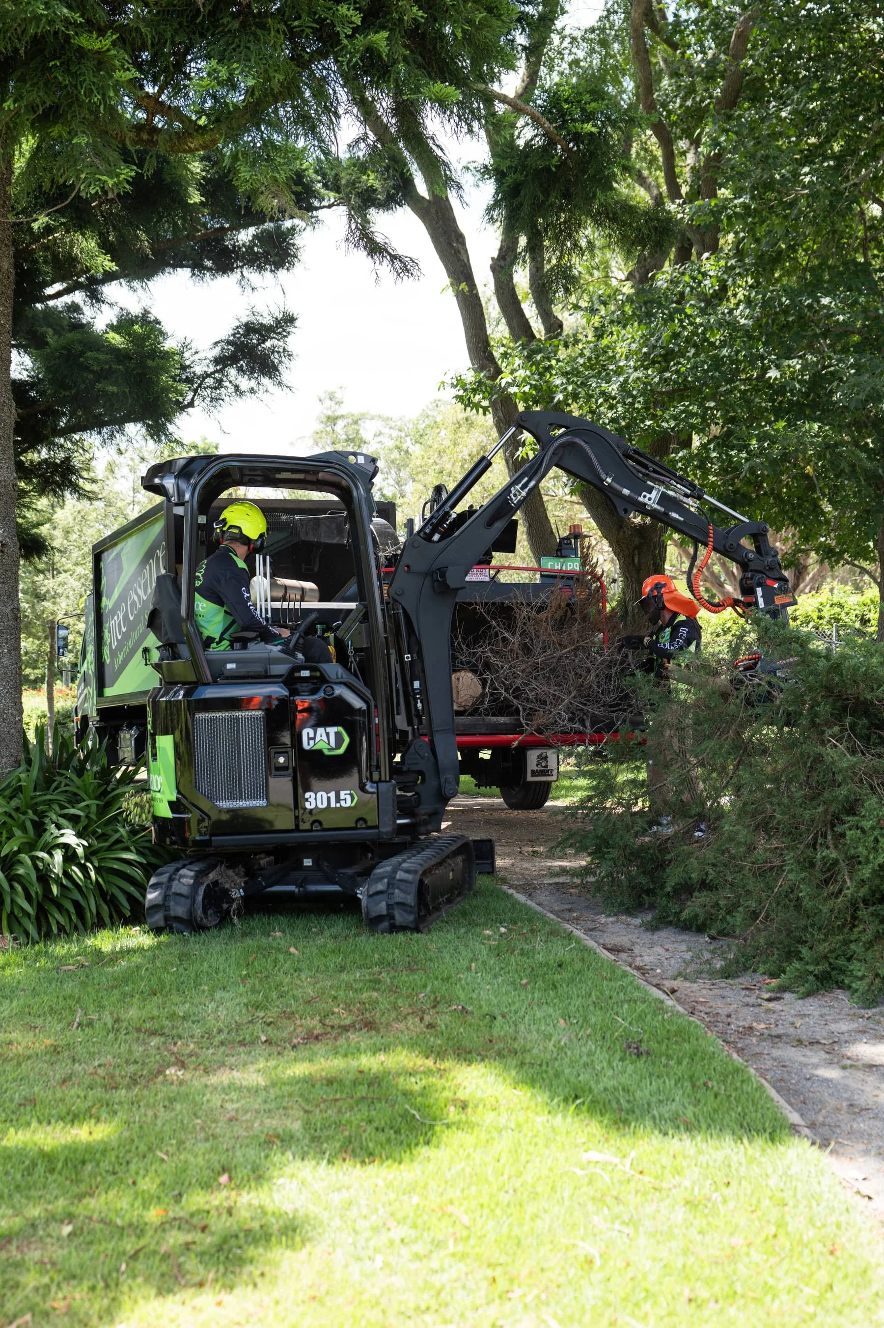 Arborists using a small excavator to remove a fallen tree branch in a landscaped yard with green grass, bushes, and large trees.