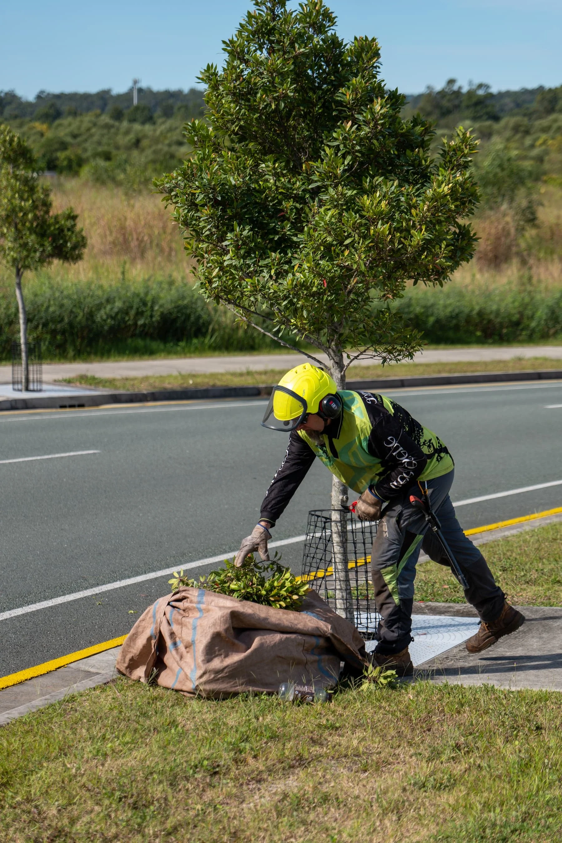 An arborist wearing a yellow helmet and green long-sleeve shirt, pruning a tree on the side of a road. They are bent over, placing the tree cuttings into a bag. The background includes a green landscape with trees and hills under a clear sky.