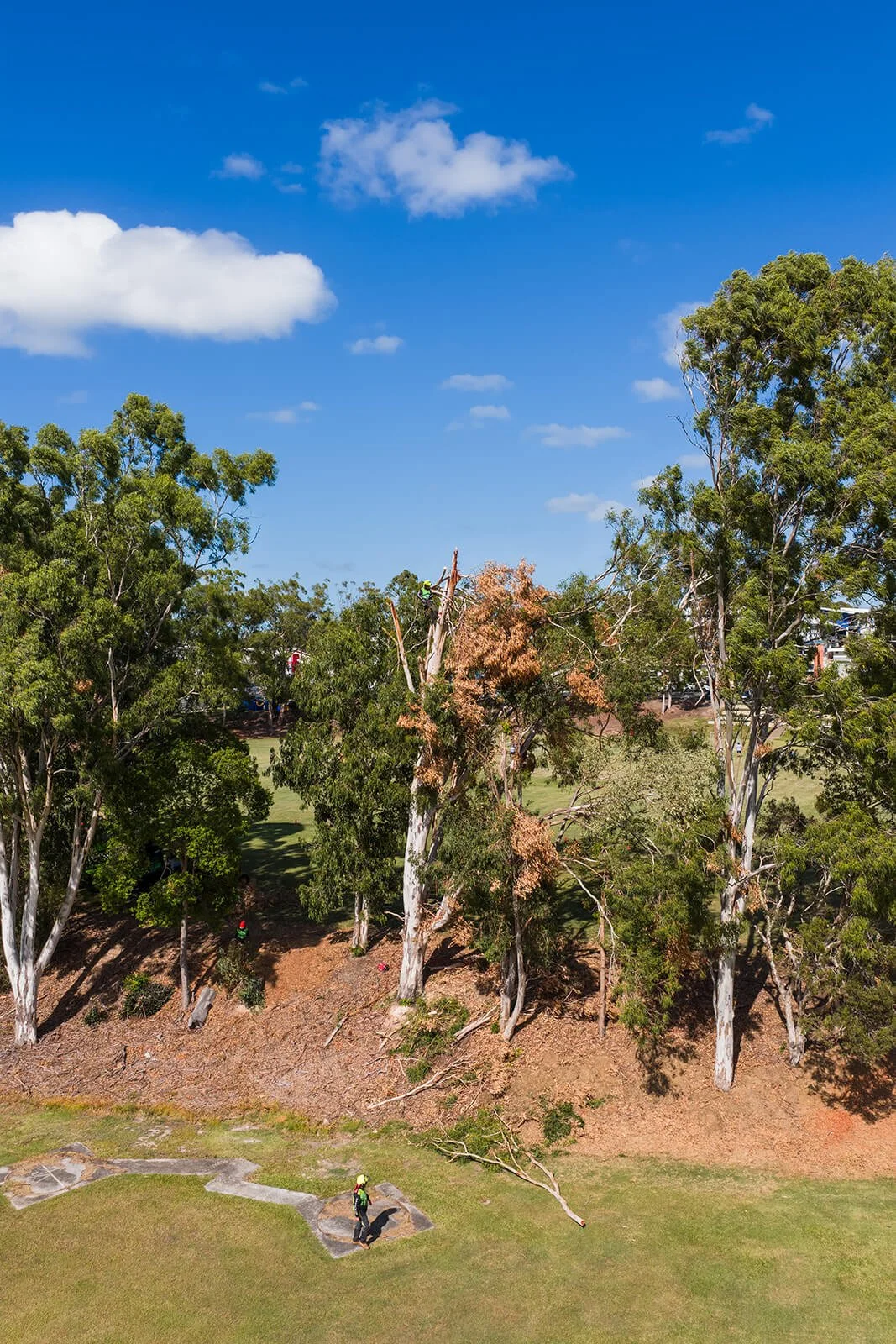 DJI_20260129093541_0046_D-HDR_websize.jpg