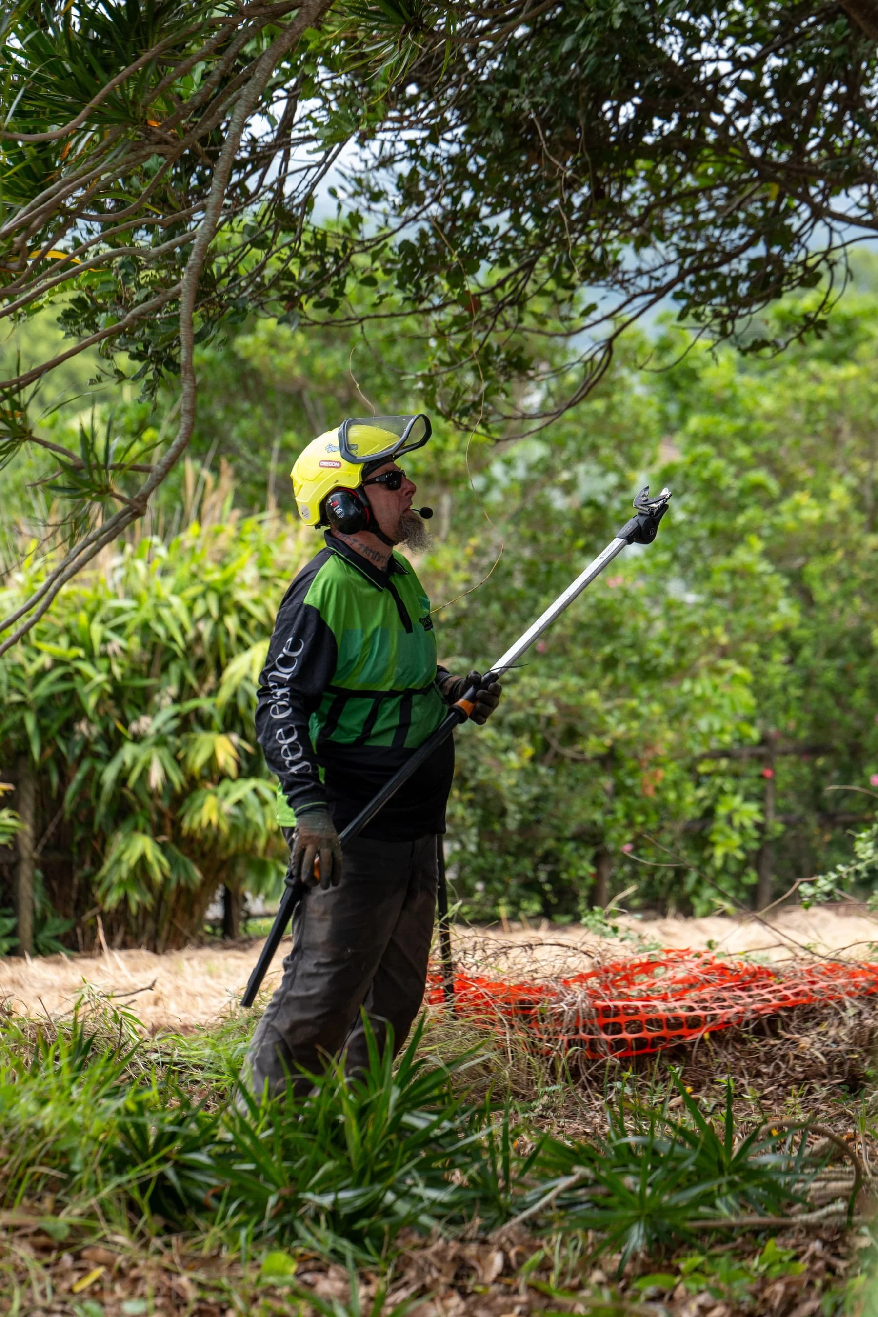 An arborist in safety gear, including a yellow helmet, sunglasses, and a green and black long-sleeved shirt, is standing in a forested area holding a pruning tool with a long handle. There is a patch of orange safety fencing on the ground nearby.