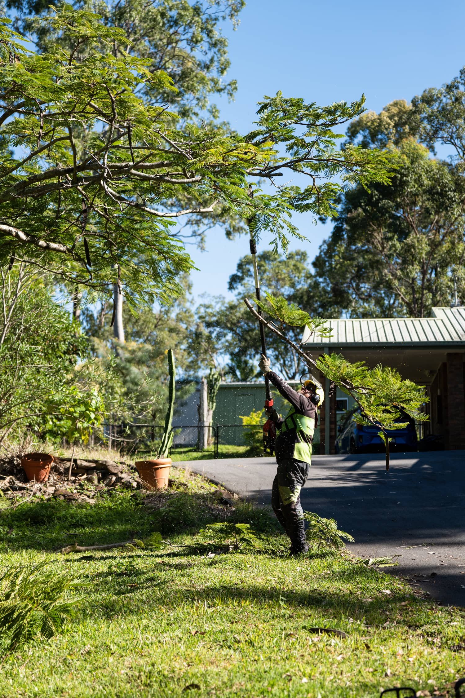 An arborist trimming a tree in a residential yard with a pole saw. The yard has potted plants, grass, and a driveway leading to a house with a metal roof. The person is wearing safety gear, including glasses and gloves.
