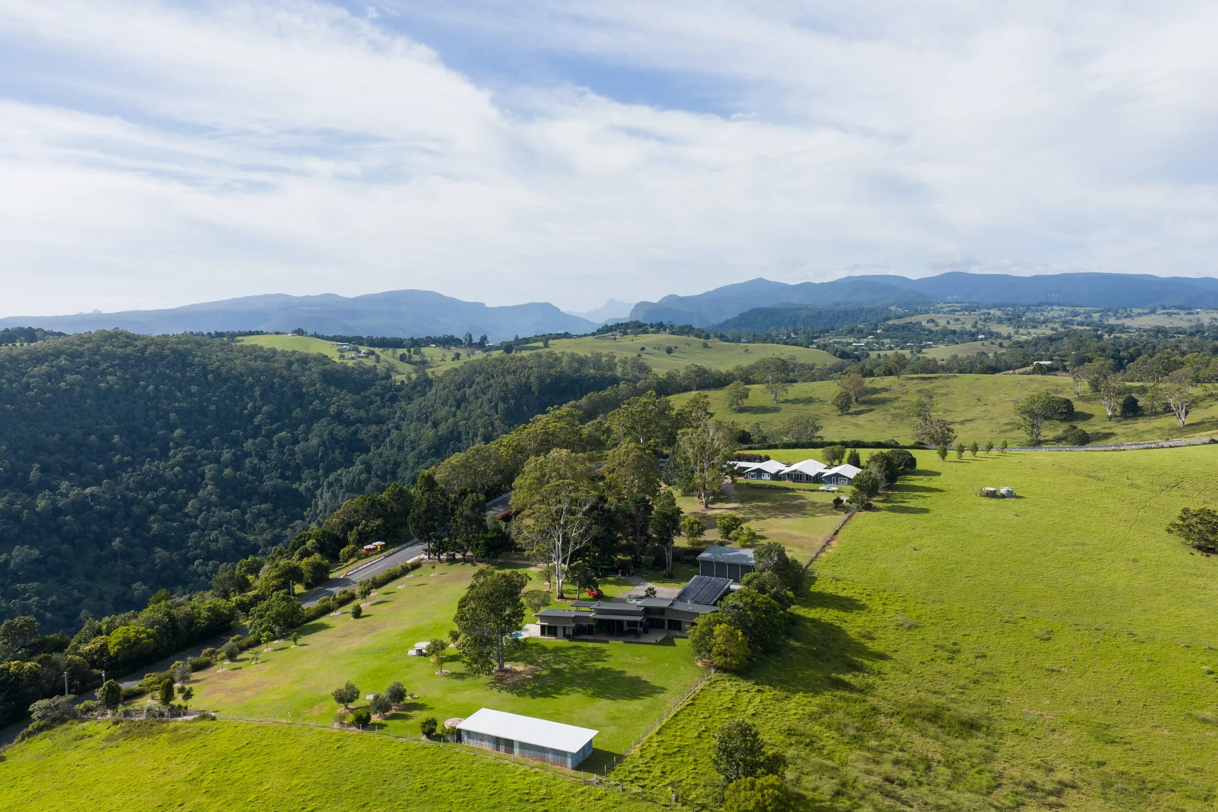 Beechmont — Storm Recovery & Canopy Resilience