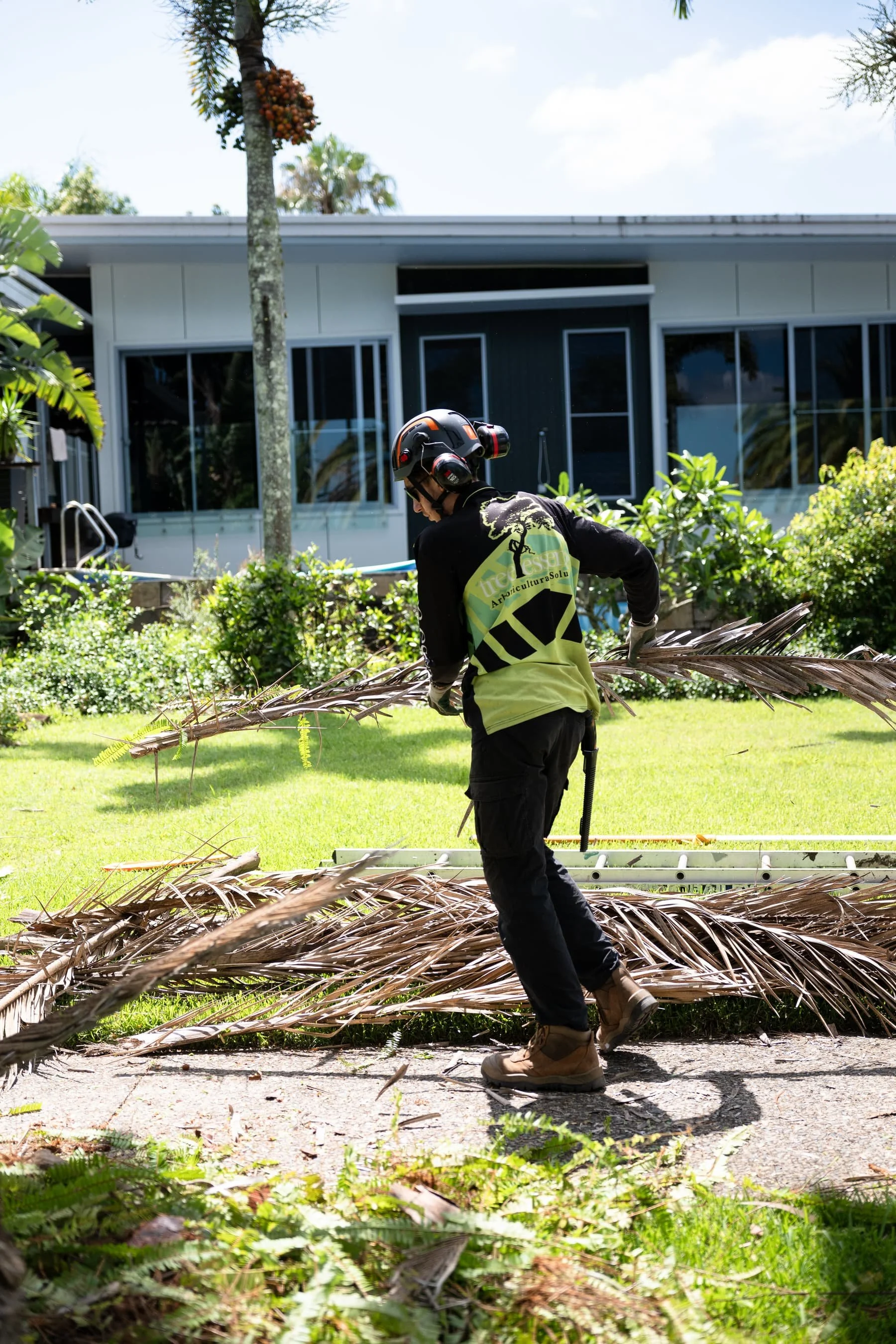 An arborist wearing a helmet and work clothing is carrying a large palm frond outside near a residential building with large windows, surrounded by green plants and trees.