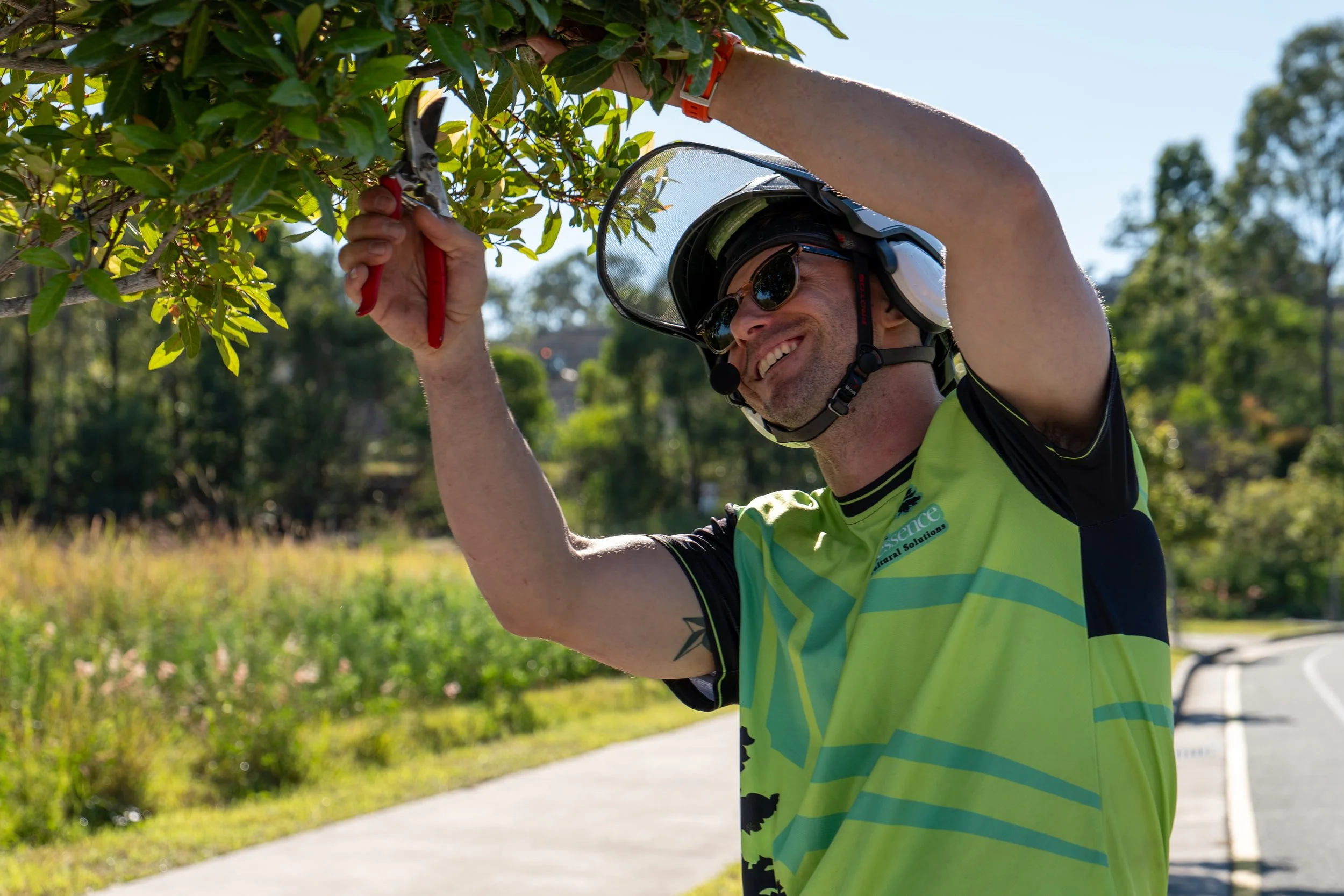 Why Regular Tree Pruning Is Essential for Tree Health
