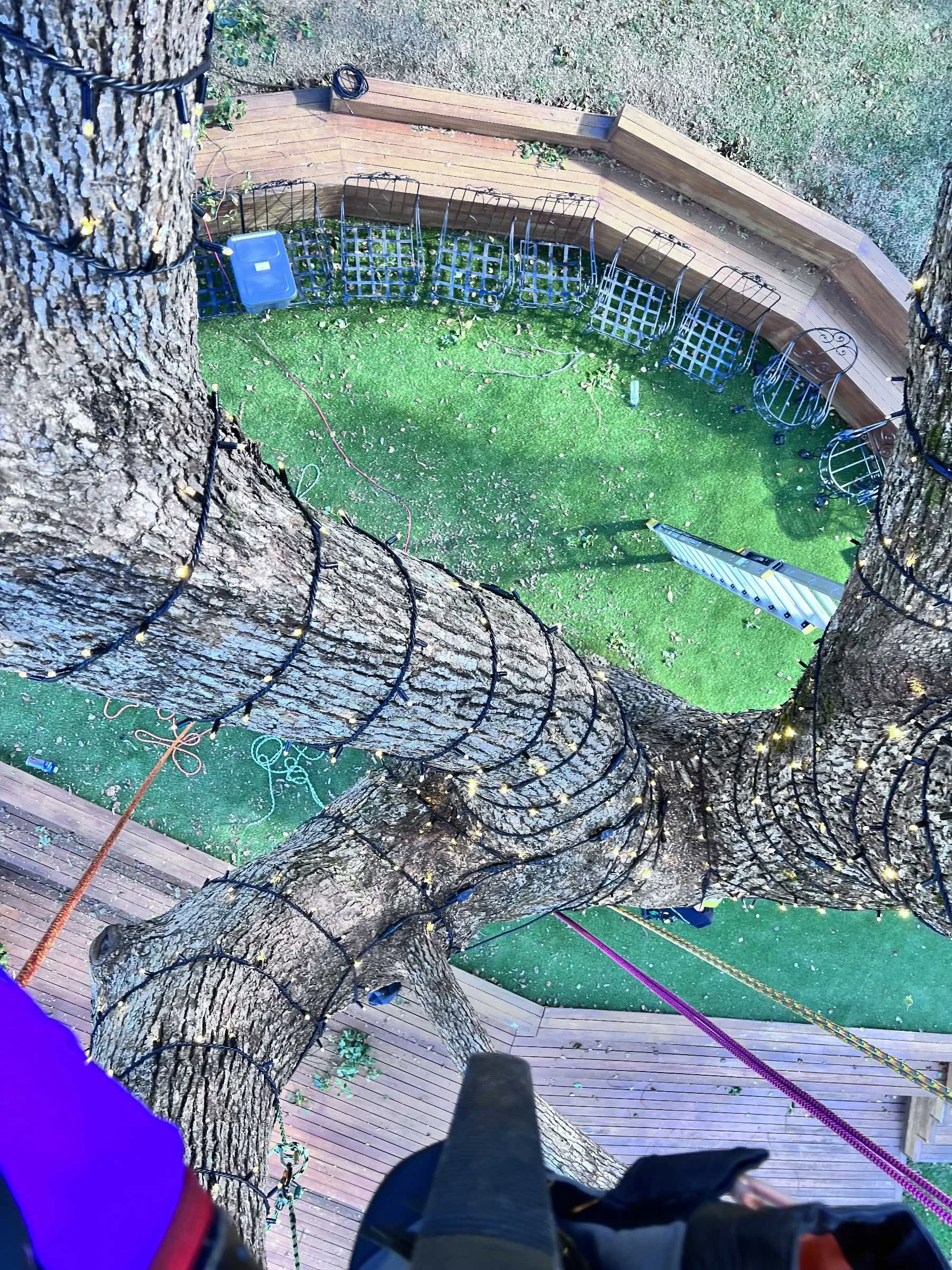 View from a tree top, showing a wooden deck with chairs and a green grassy area below, with tree trunks, some leaves, and outdoor fairy lights wrapped around the tree.