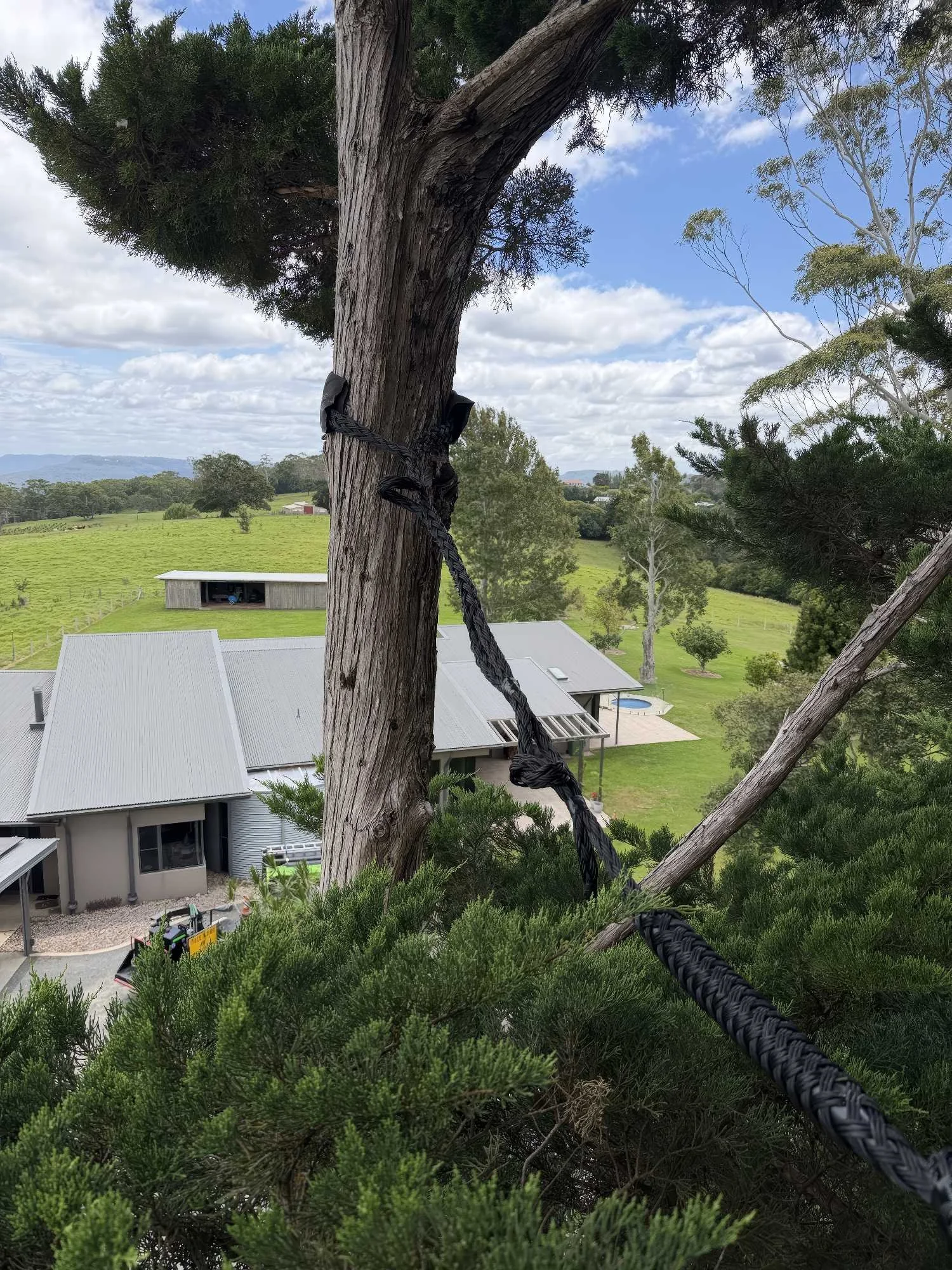 A tree is secured with a black strap and rope, with a scenic rural landscape in the background including houses, trees, and open fields under a partly cloudy sky.