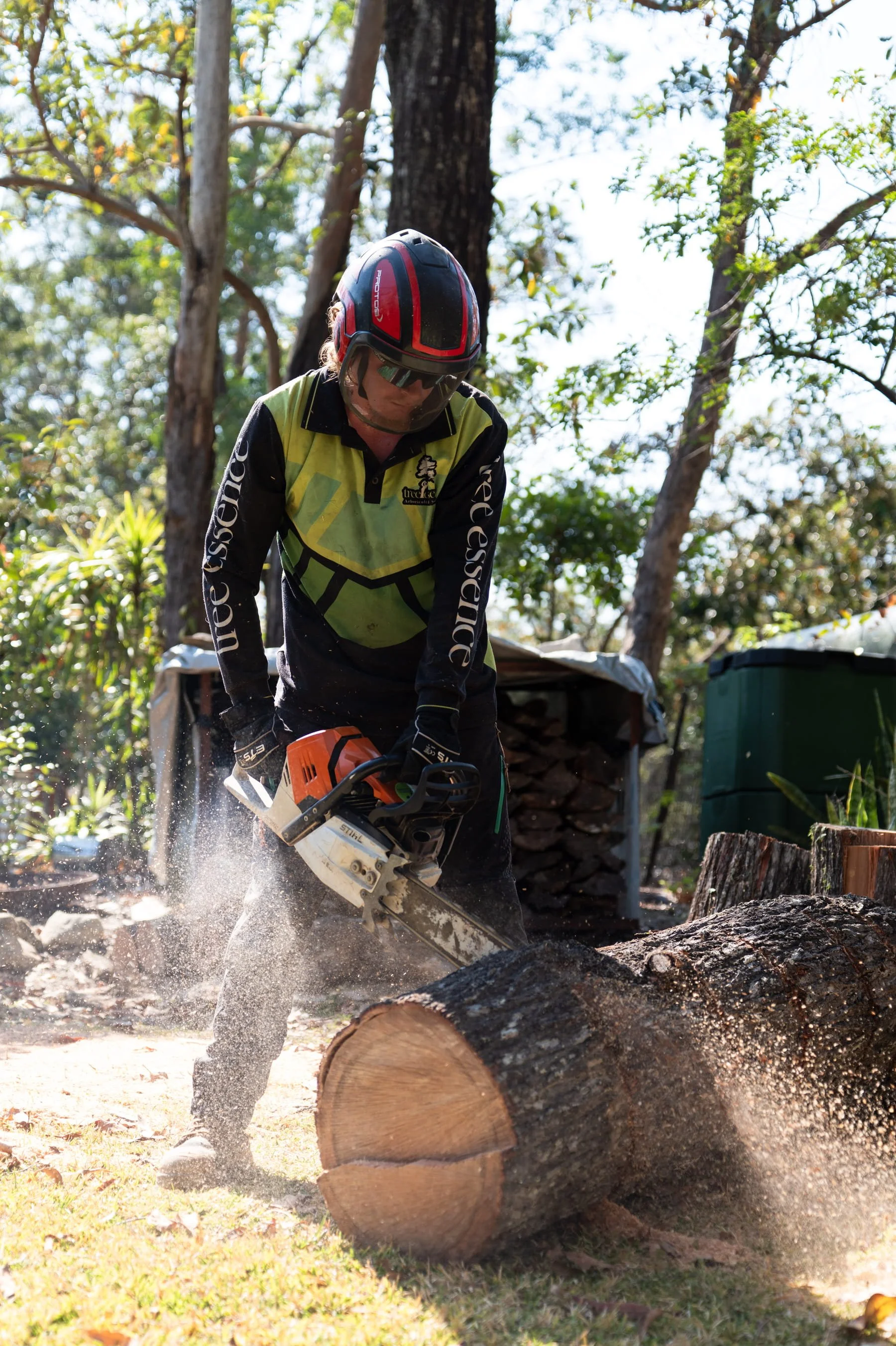 An arborist wearing safety gear and a helmet uses a chainsaw to cut a fallen log outdoors, with trees and sunlight in the background.