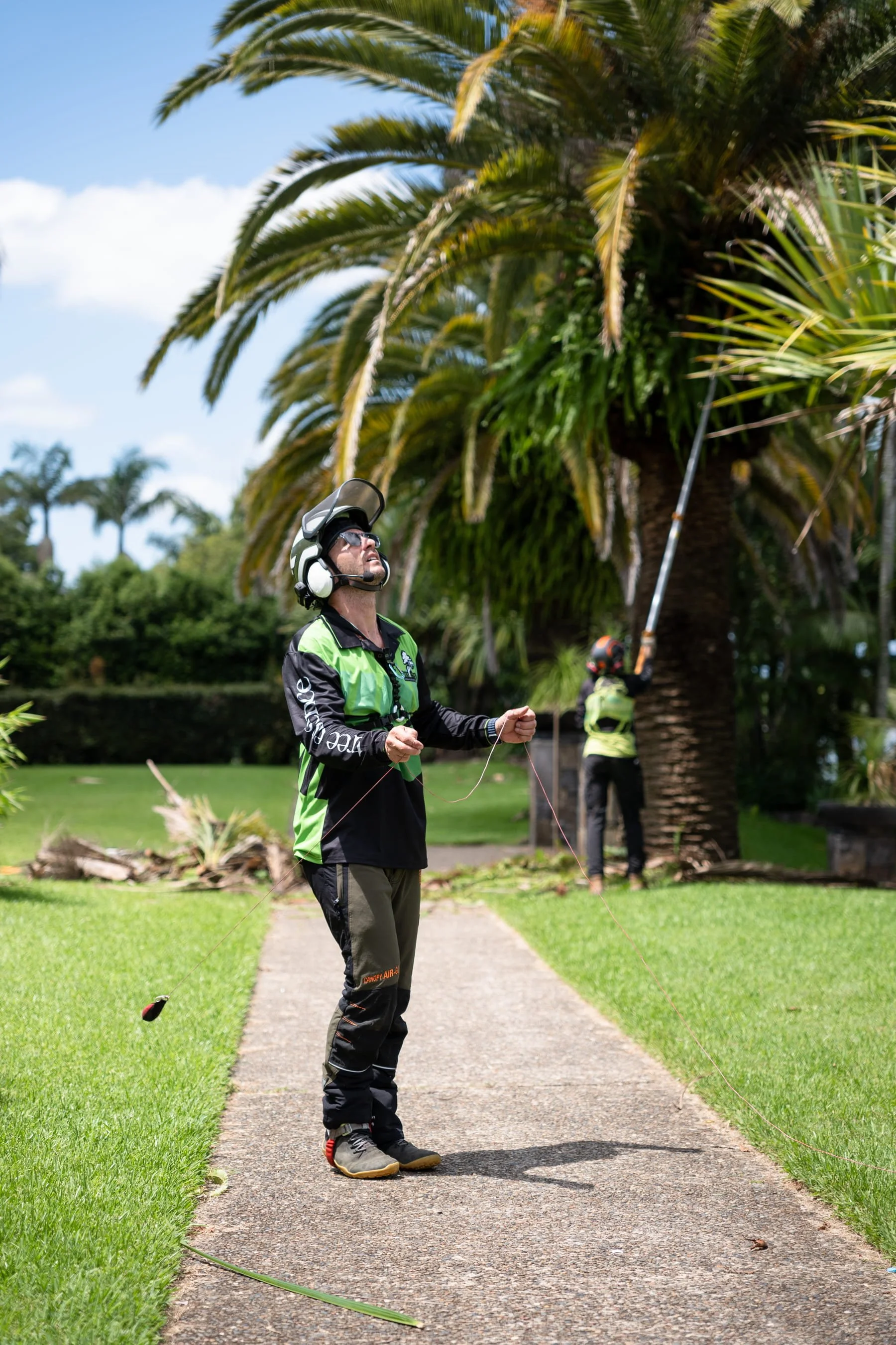 An arborist in protective gear throwing an arborist throw line, with palm trees and green grass in the background.