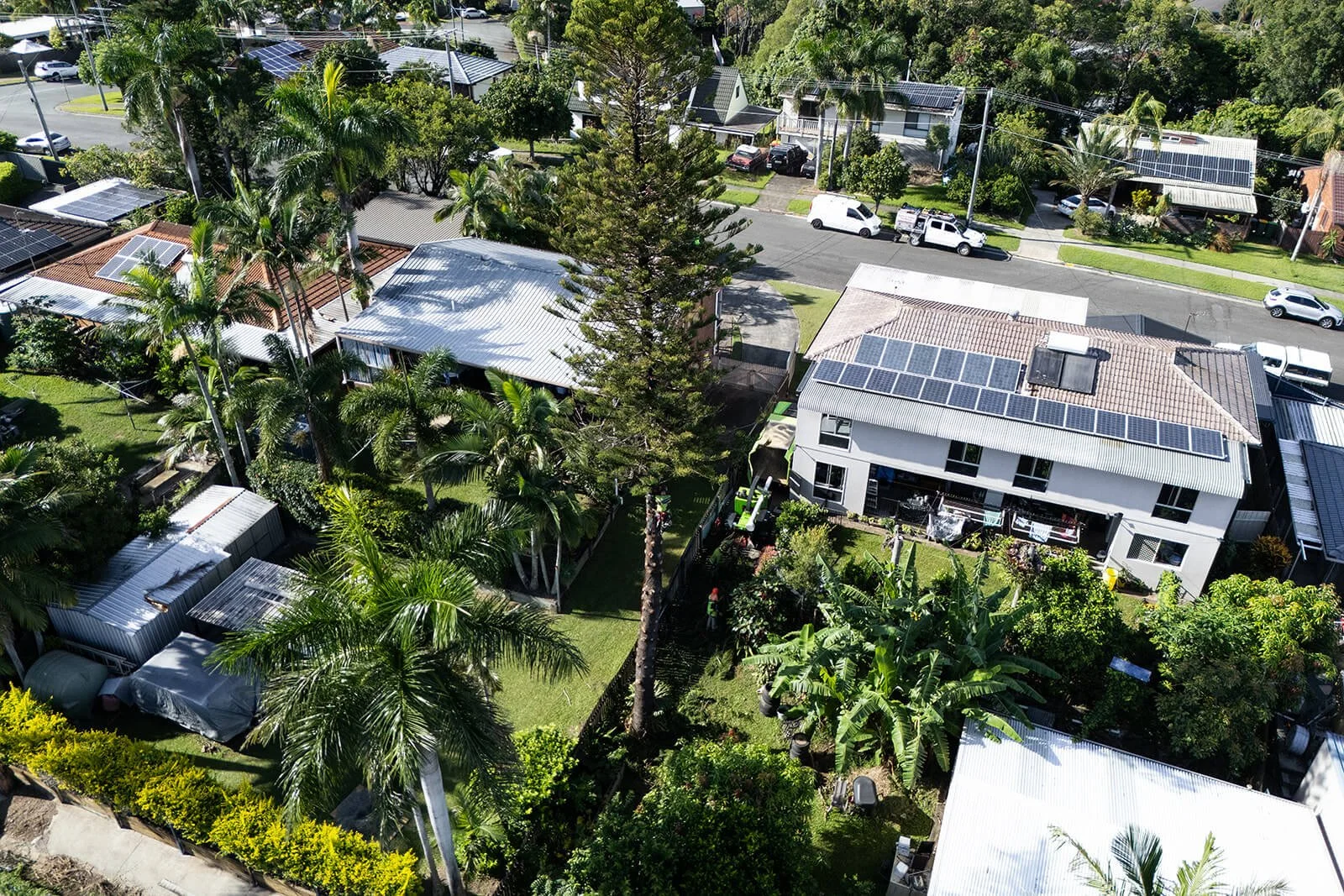 DJI_20240219091523_0028_D_websize.jpg