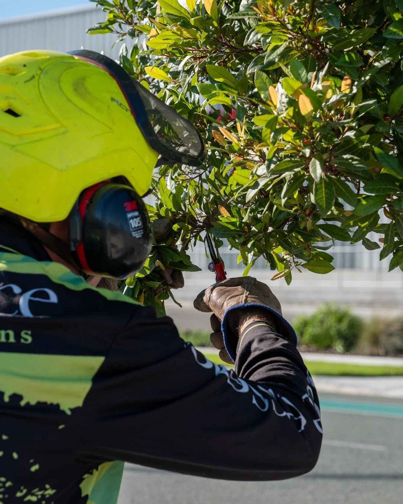 A worker pruning a tree with pruning shears while wearing a neon yellow safety helmet with a visor and an arborist headset.