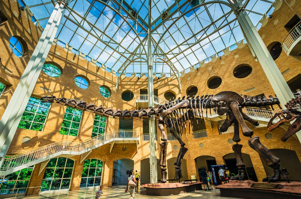 Fernbank Museum of Natural History 