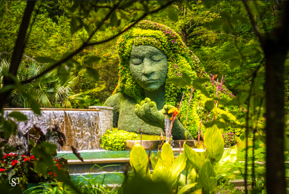 Atlanta Botanical Garden