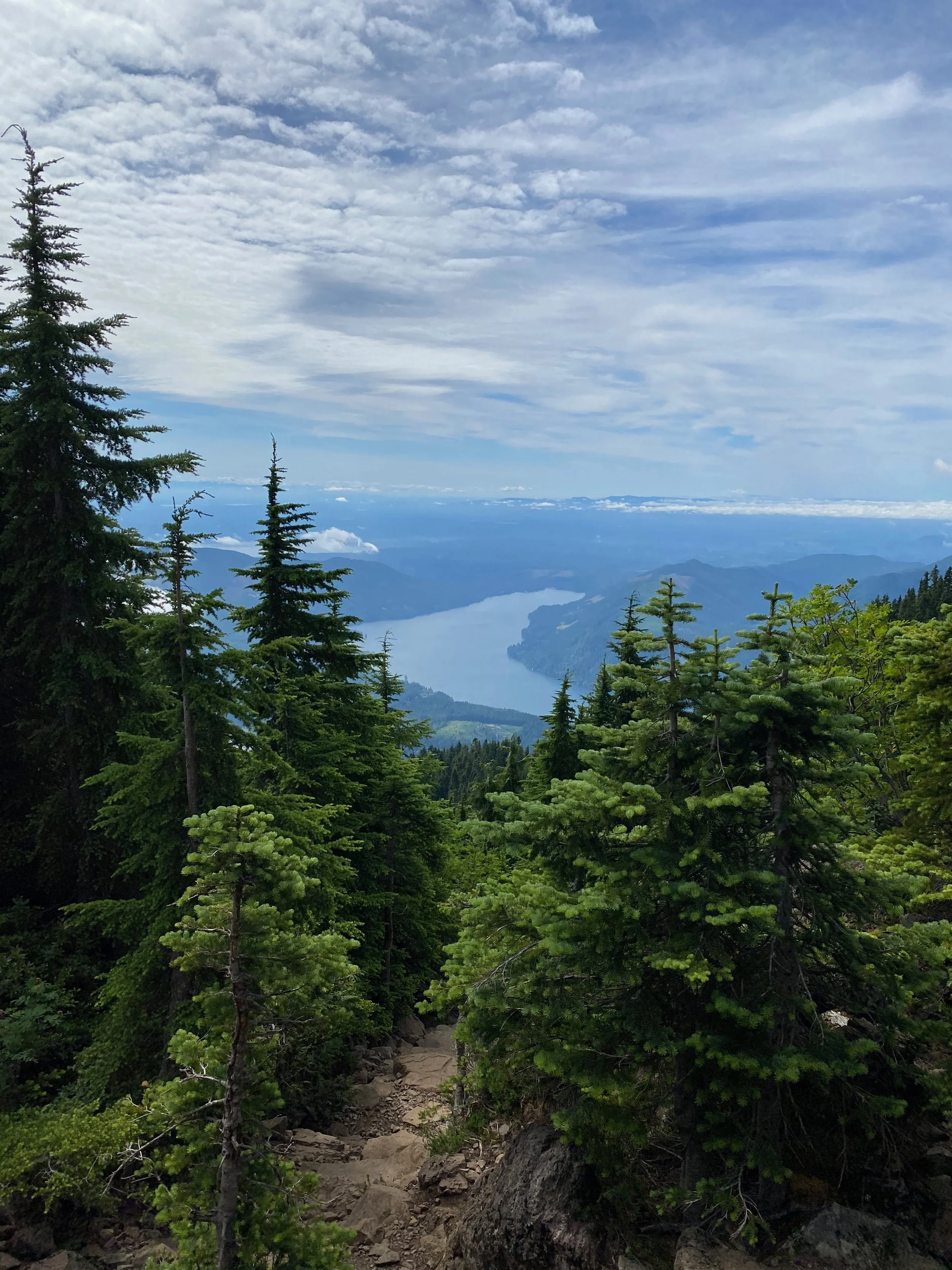 Mt Ellinor IMG_5217.jpeg
