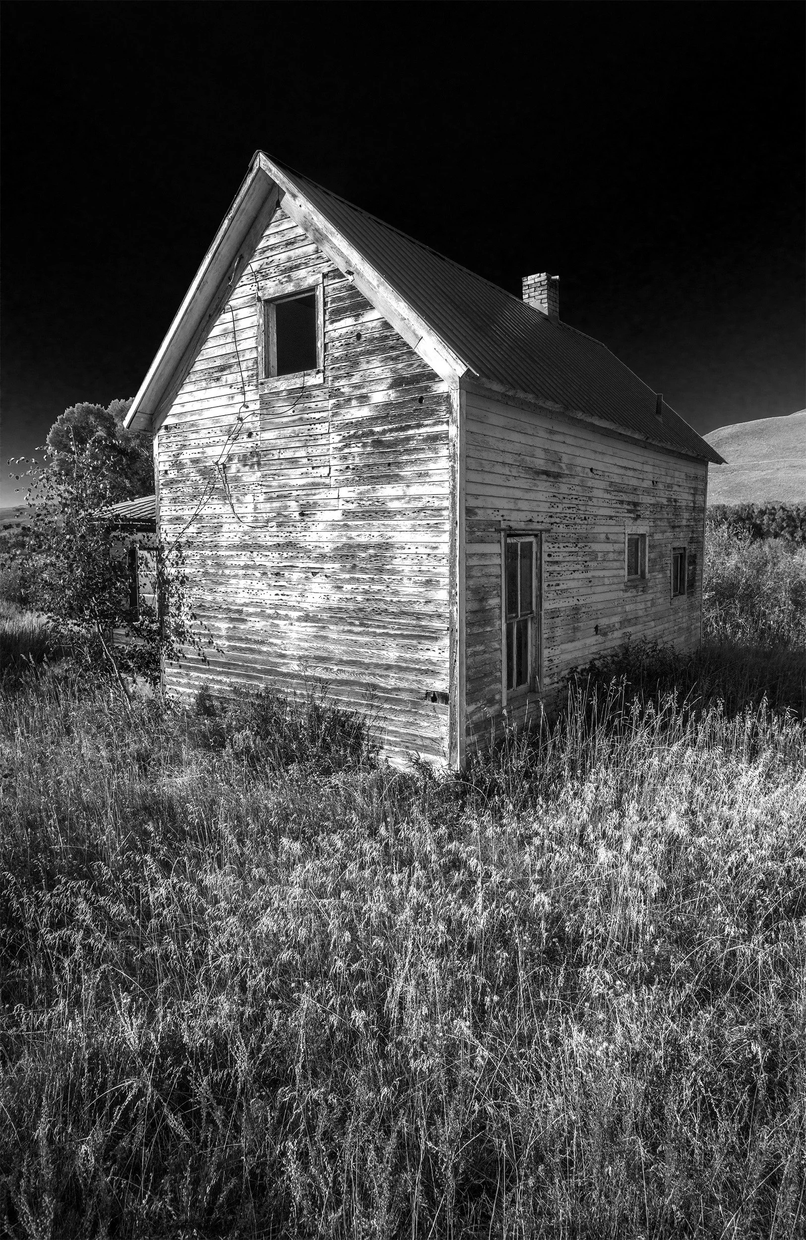 Old Shed.jpg