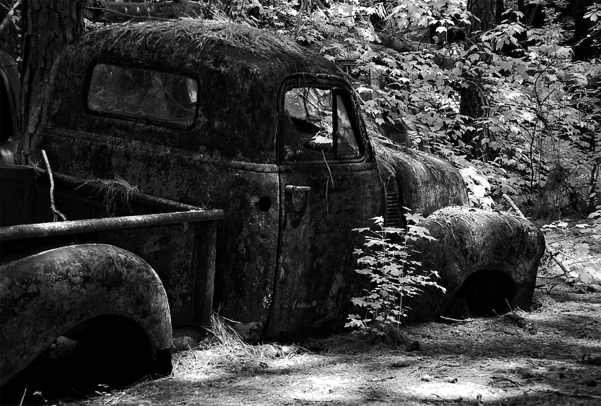 Final Resting Place.jpg