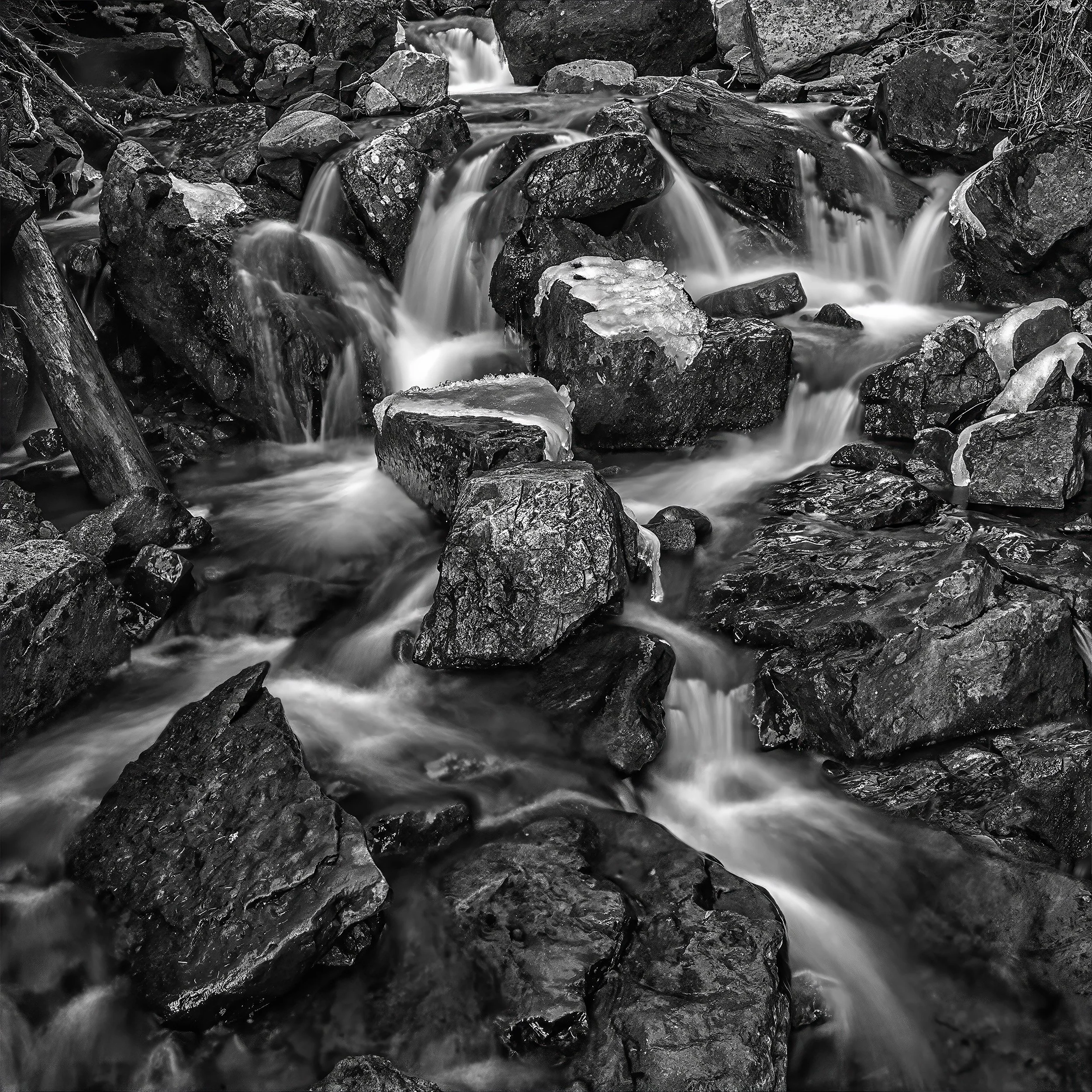 Custom Fine Art Photography Experience