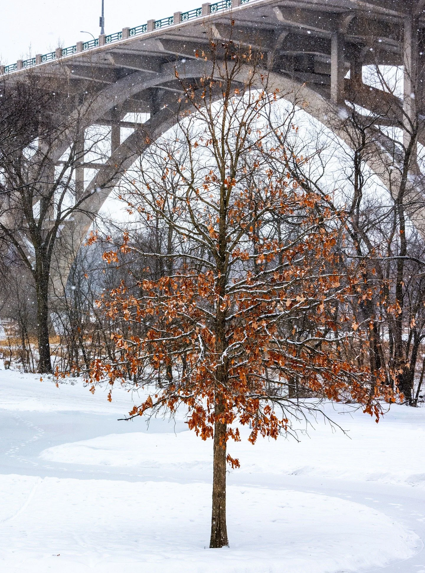 More from Fort Snelling State Park

#fortsnellingstatepark #minnesota #minnesotaphotographer #photography #digitalphotography #nikonphotography