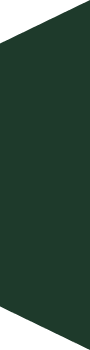 Close-up of a dark green background with a rolled-up black paper or fabric at the top left corner