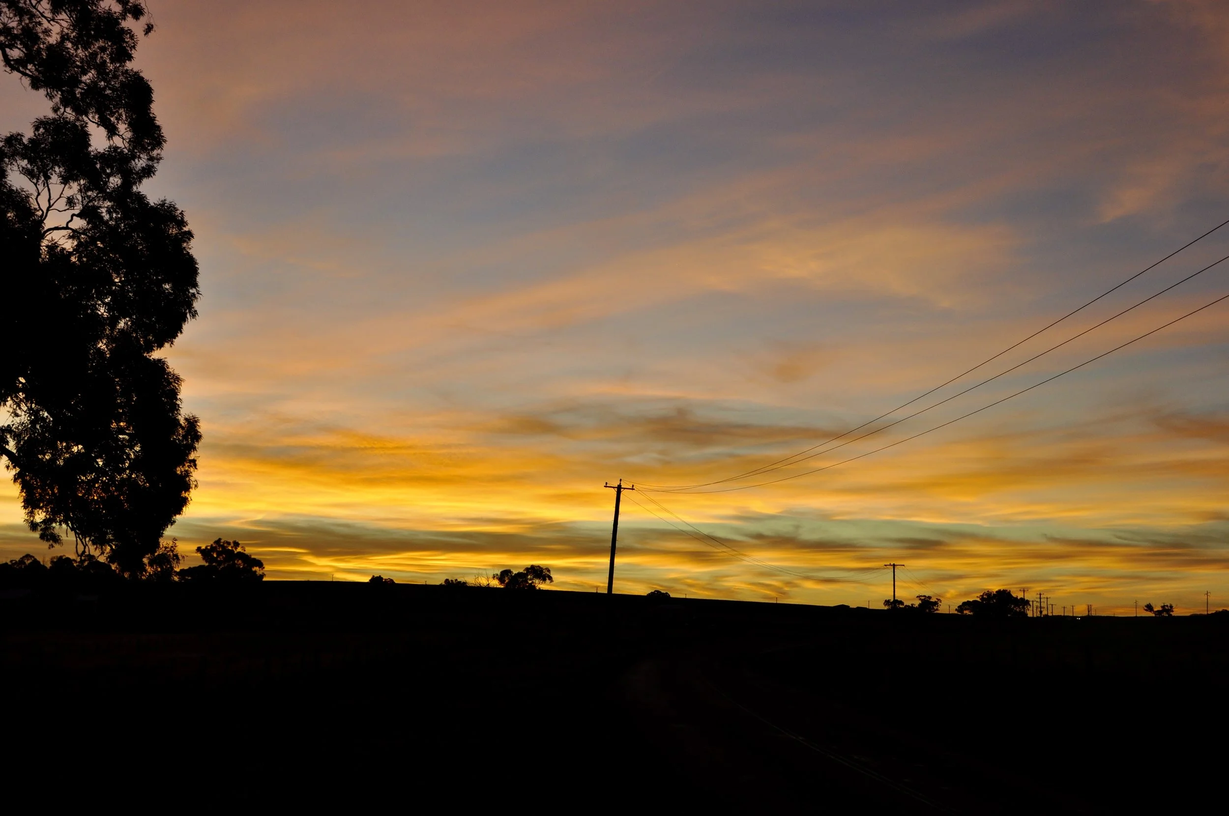 _DSC0116 2.jpg
