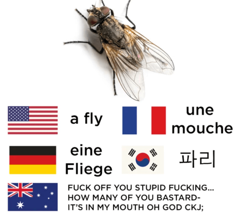 img_4044-1.png
