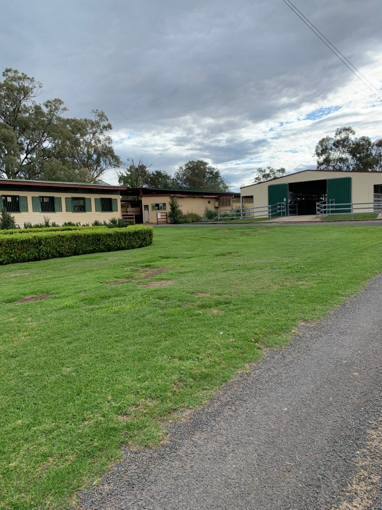 Broodmare barn (links) und Yearling barn (rechts)