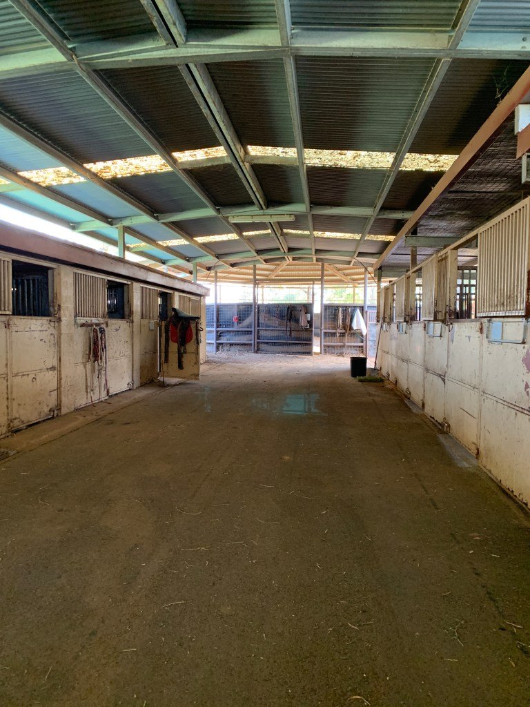 Broodmare barn (Zuchtstuten)