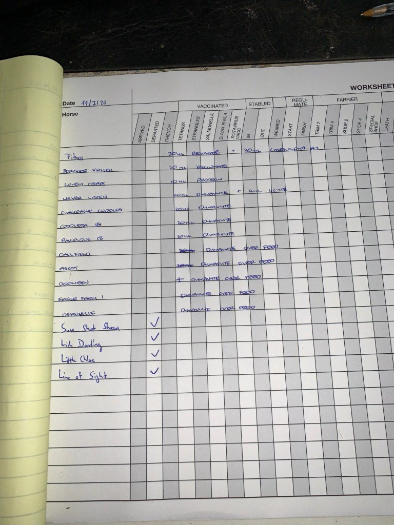 Treatment Book – Tierarzt, Hufschmied, Impfungen, Wurmkuren, etc.