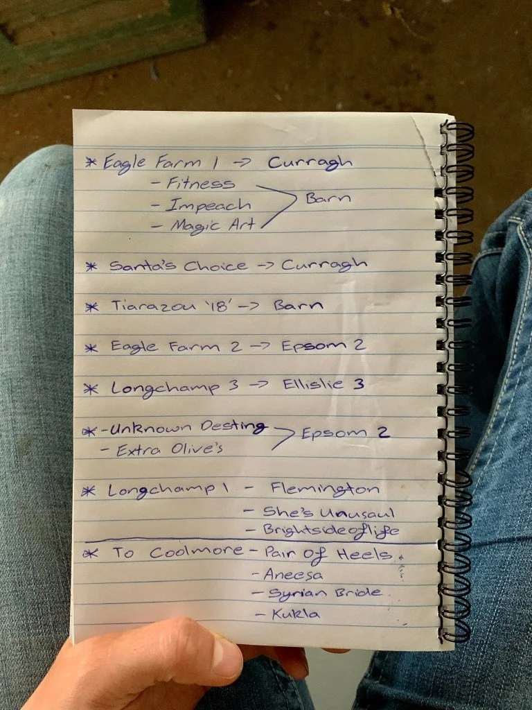 Der Plan, wenn Pferde Paddocks wechseln und bewegt werden müssen