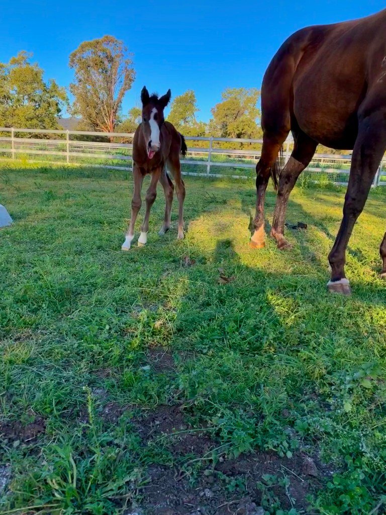 img_7757.jpg