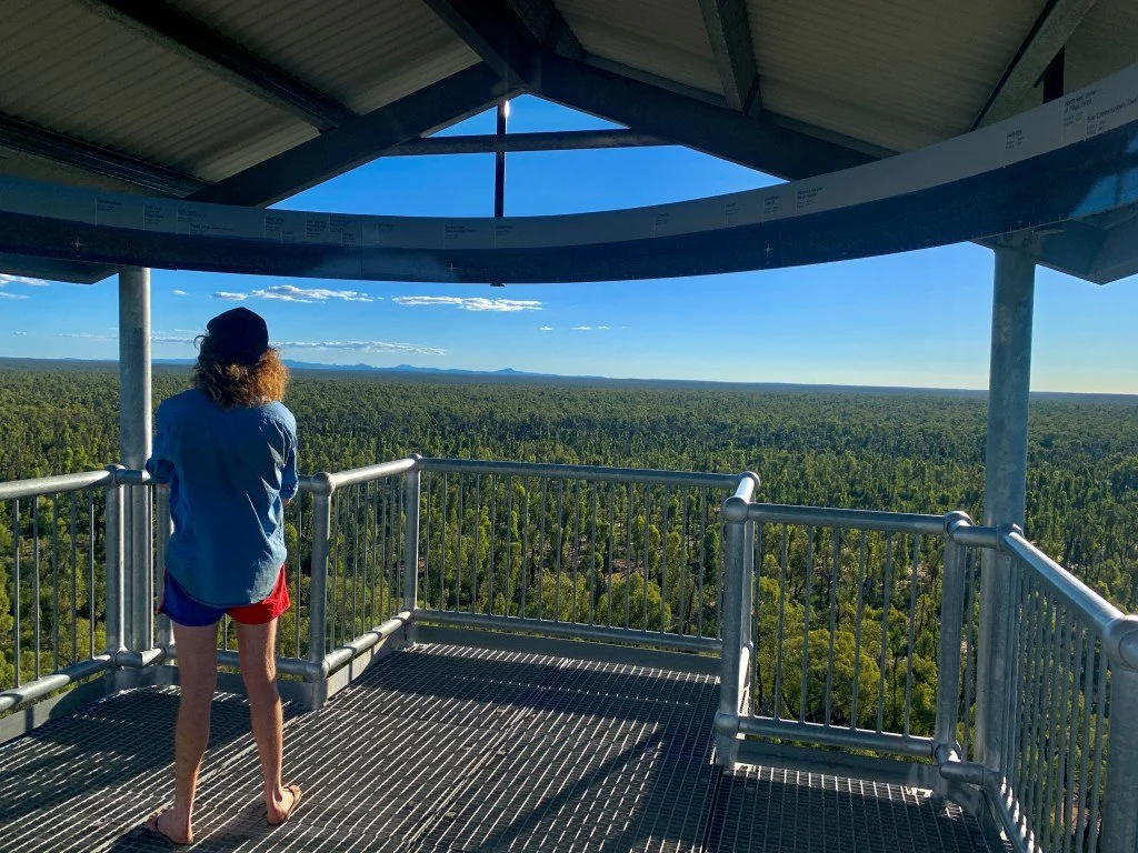 Besuch zu Yarra Lake Tower mit Sam