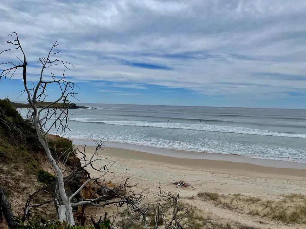 Angourie Beach