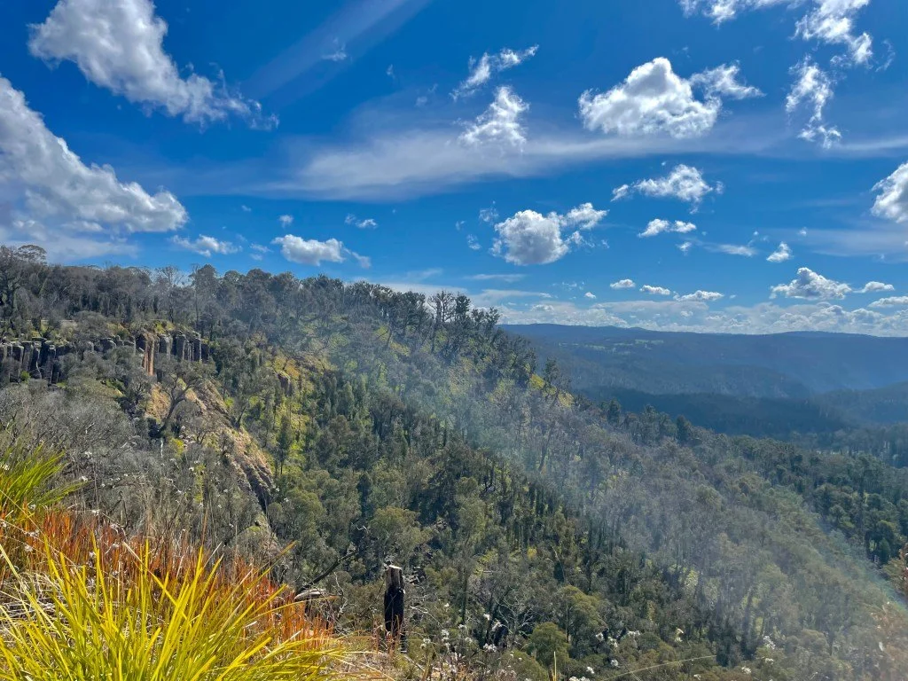 Ebor
