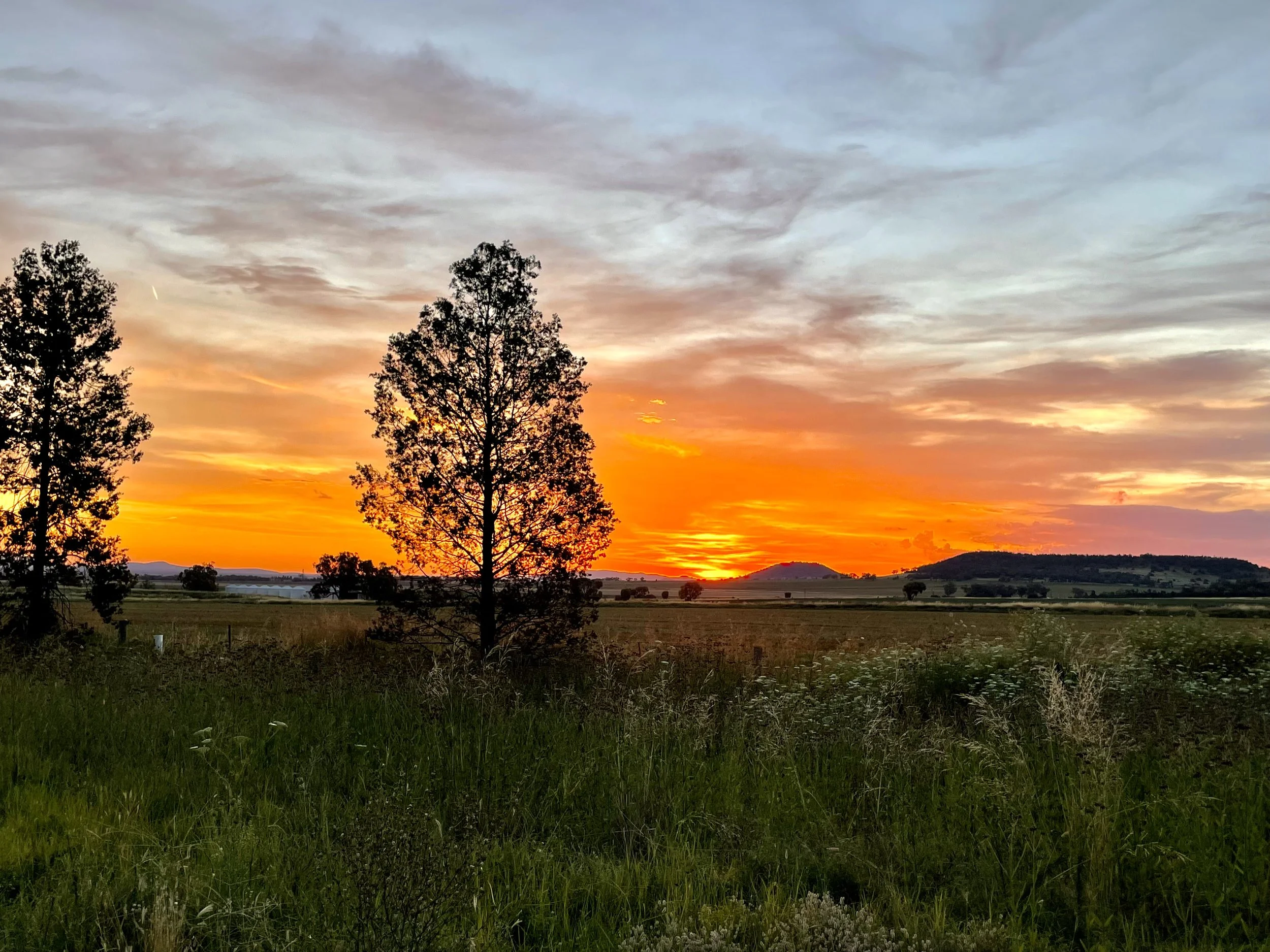 Mullaley, NSW