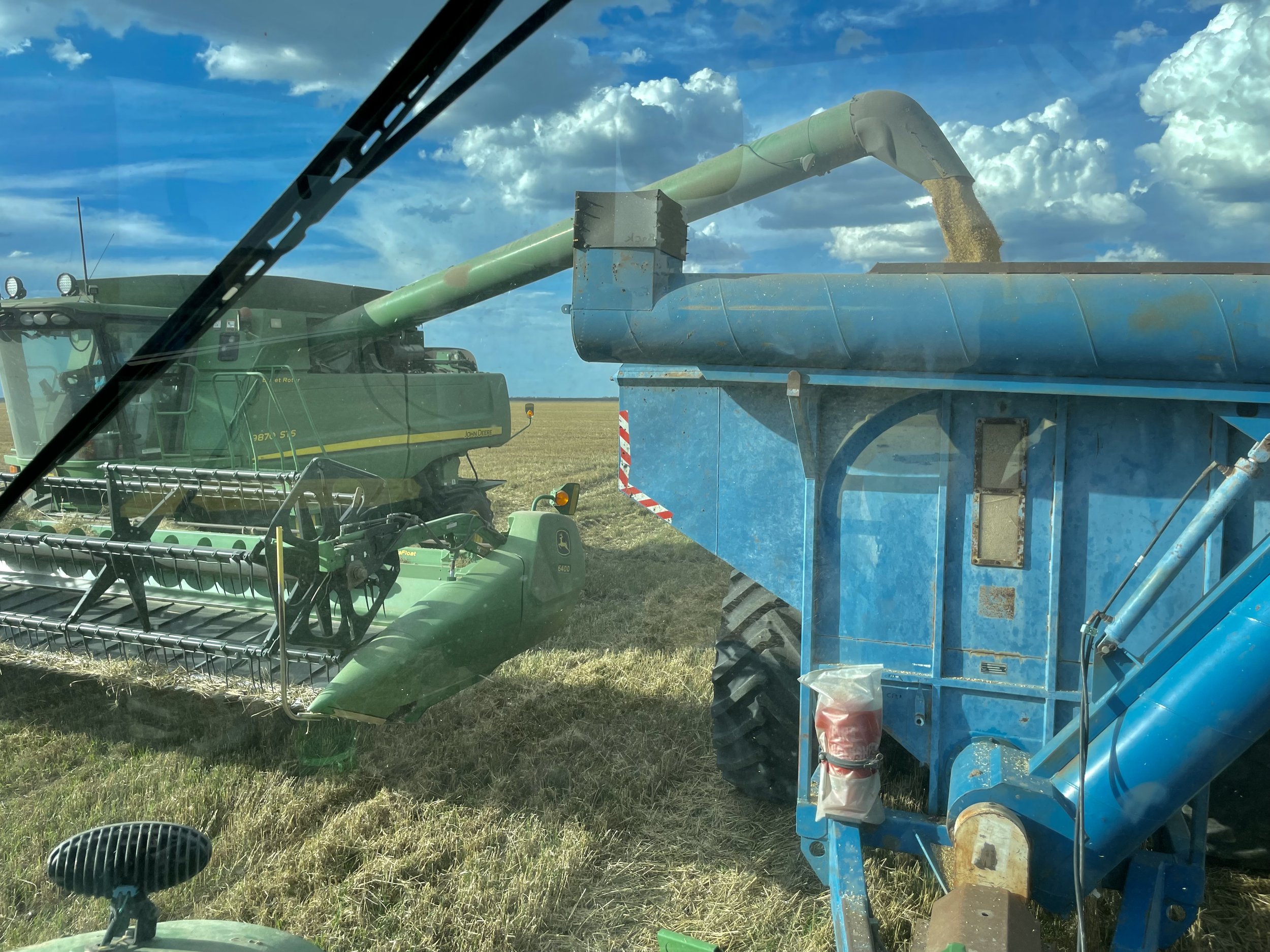 So wird die Erntemaschine geleert, manchmal im Stillstand, manchmal mobil
