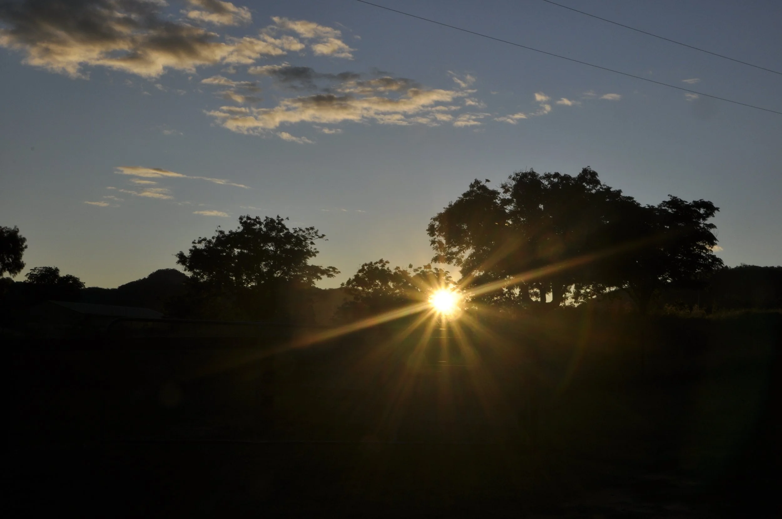 dsc0016.jpg