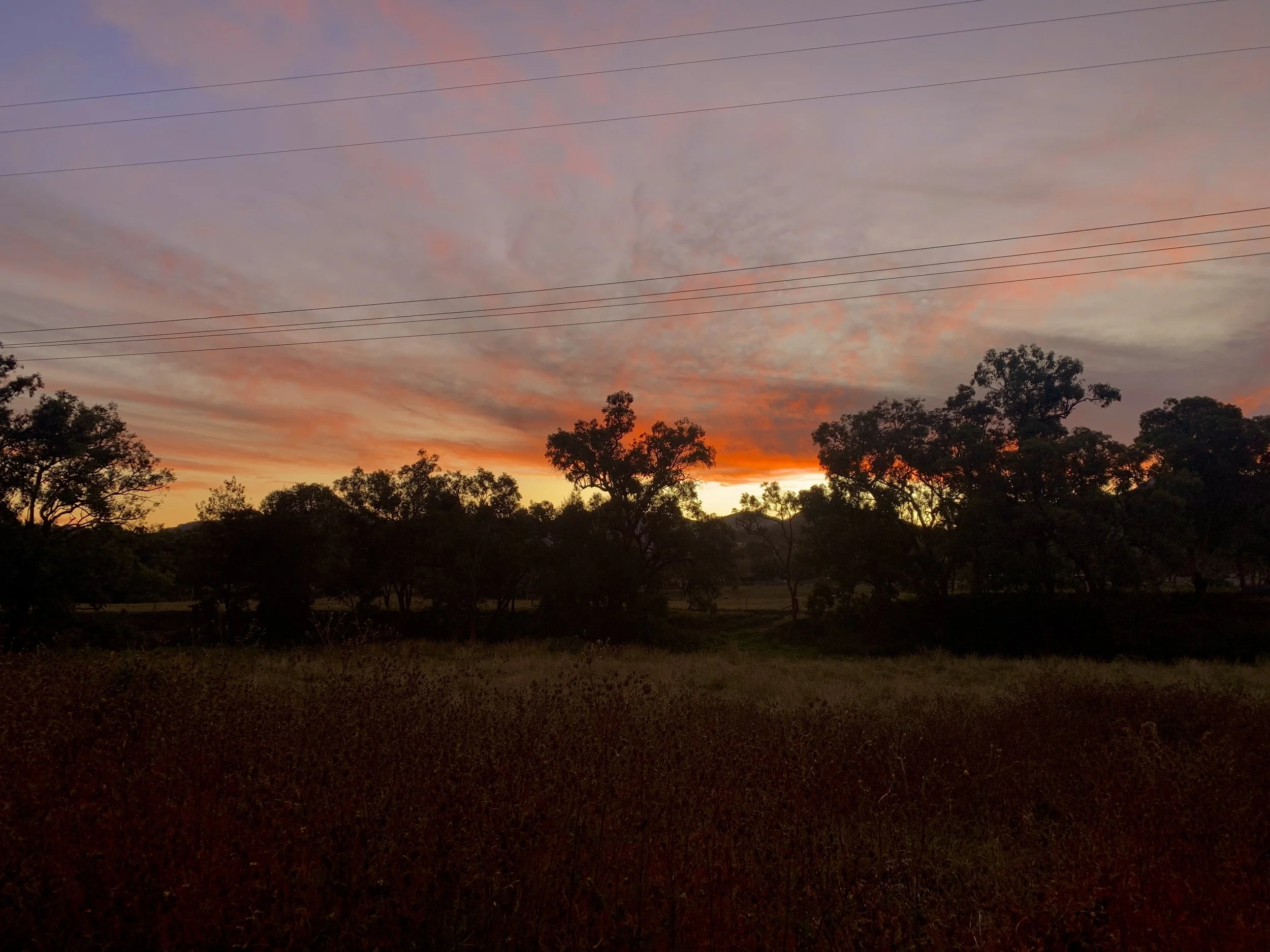 Abendliche Spaziergänge = wunderschöne Sonnenuntergänge