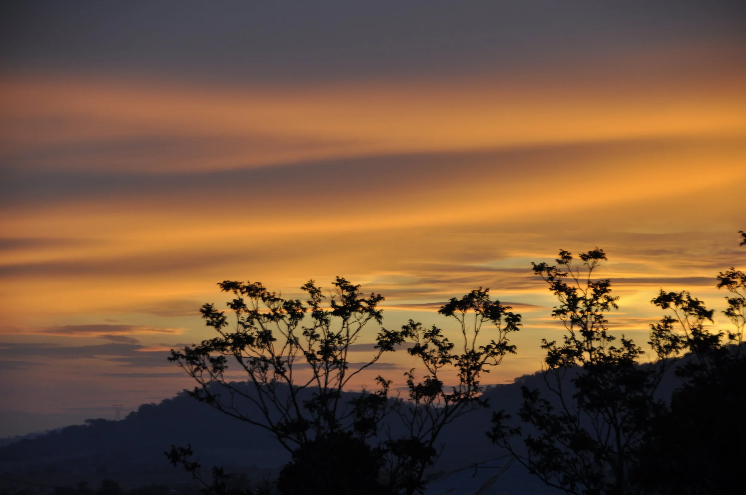 dsc0005-1.jpg