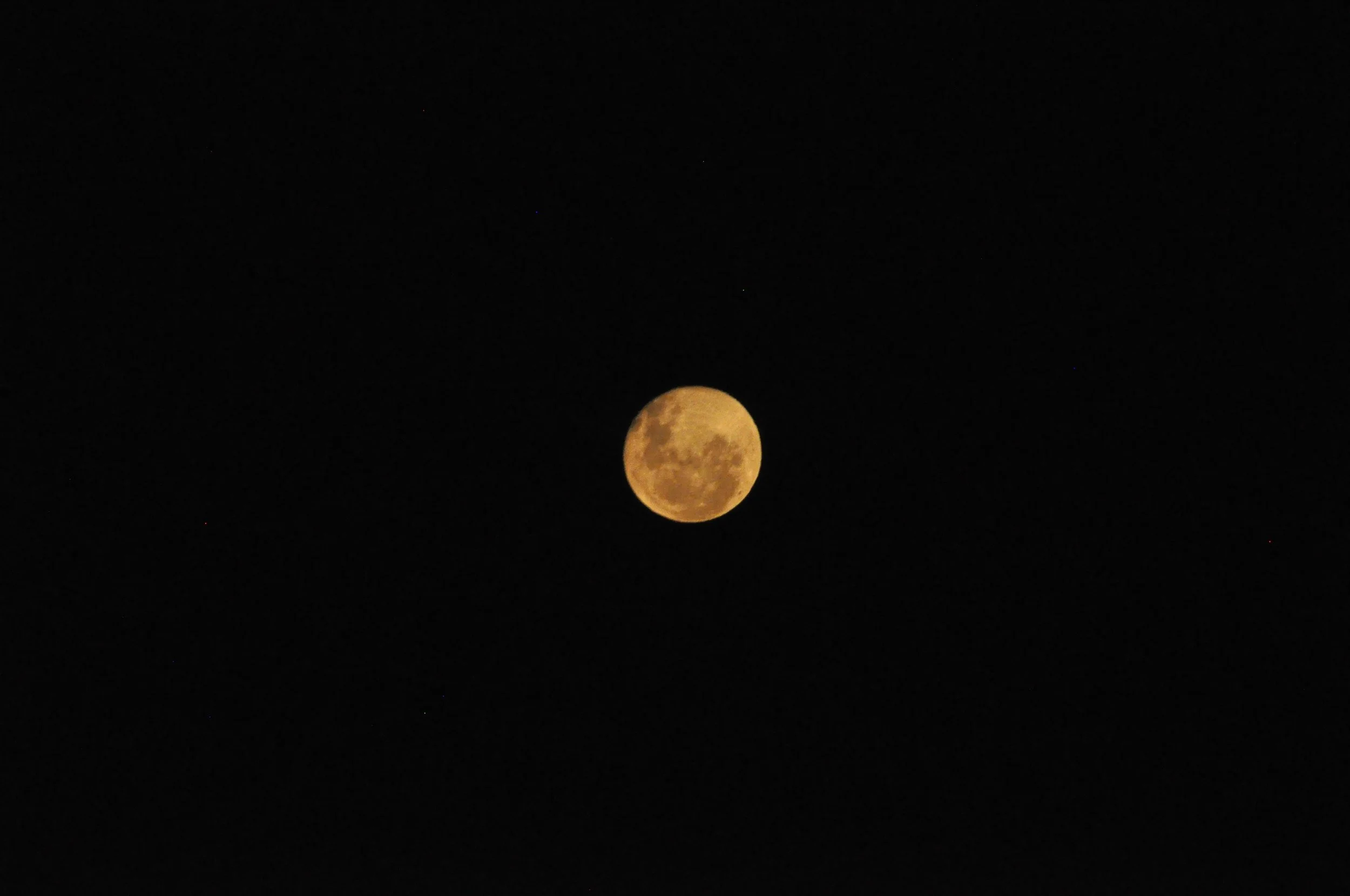 dsc0046-2-1.jpg