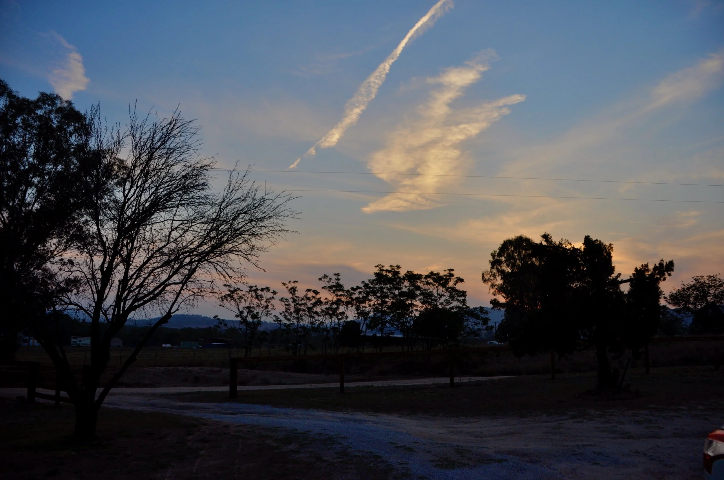 dsc0207-1.jpg