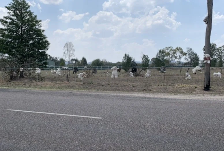 Friedhof der Kuscheltiere?